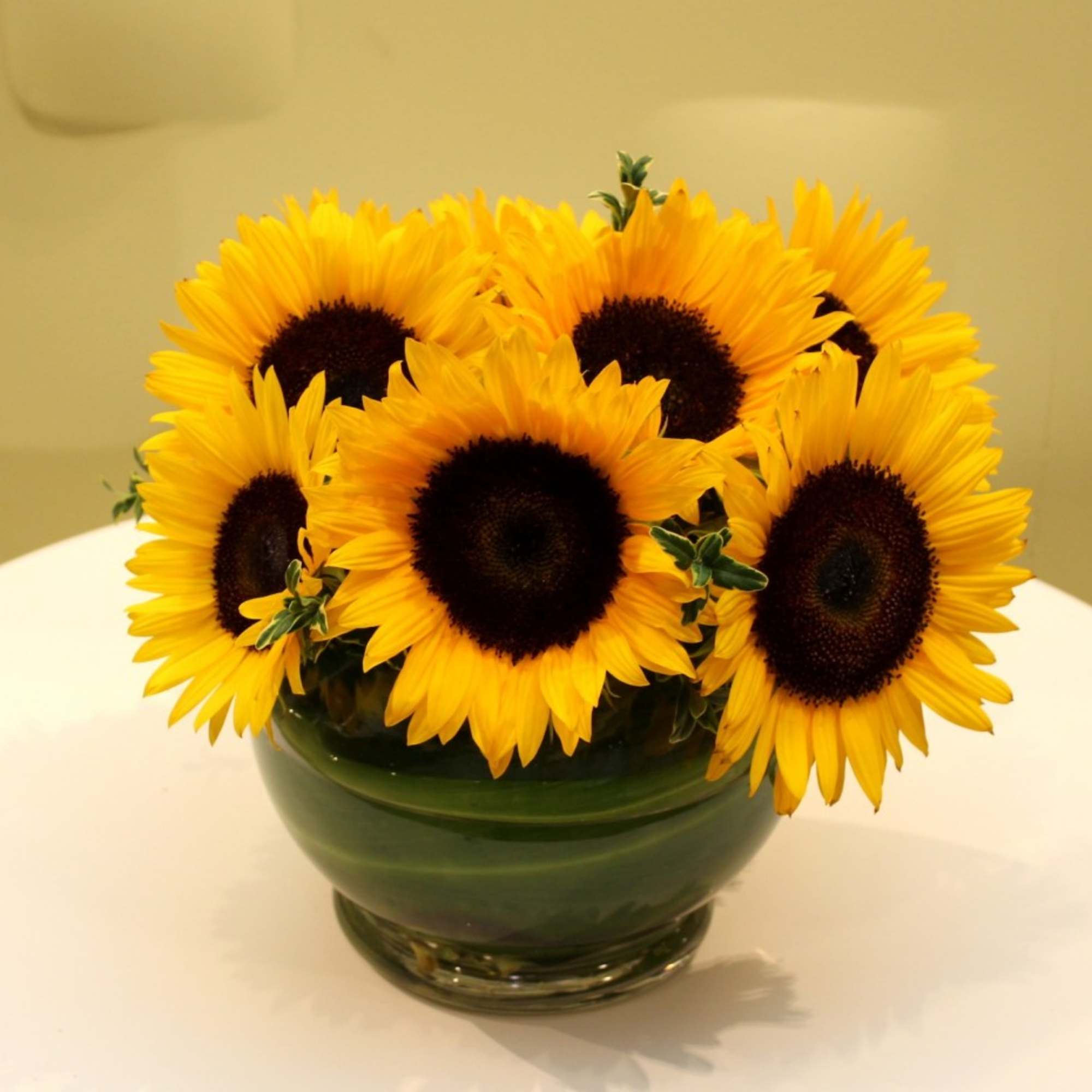 Bouquet of yellow sunflowers in a green glass bowl