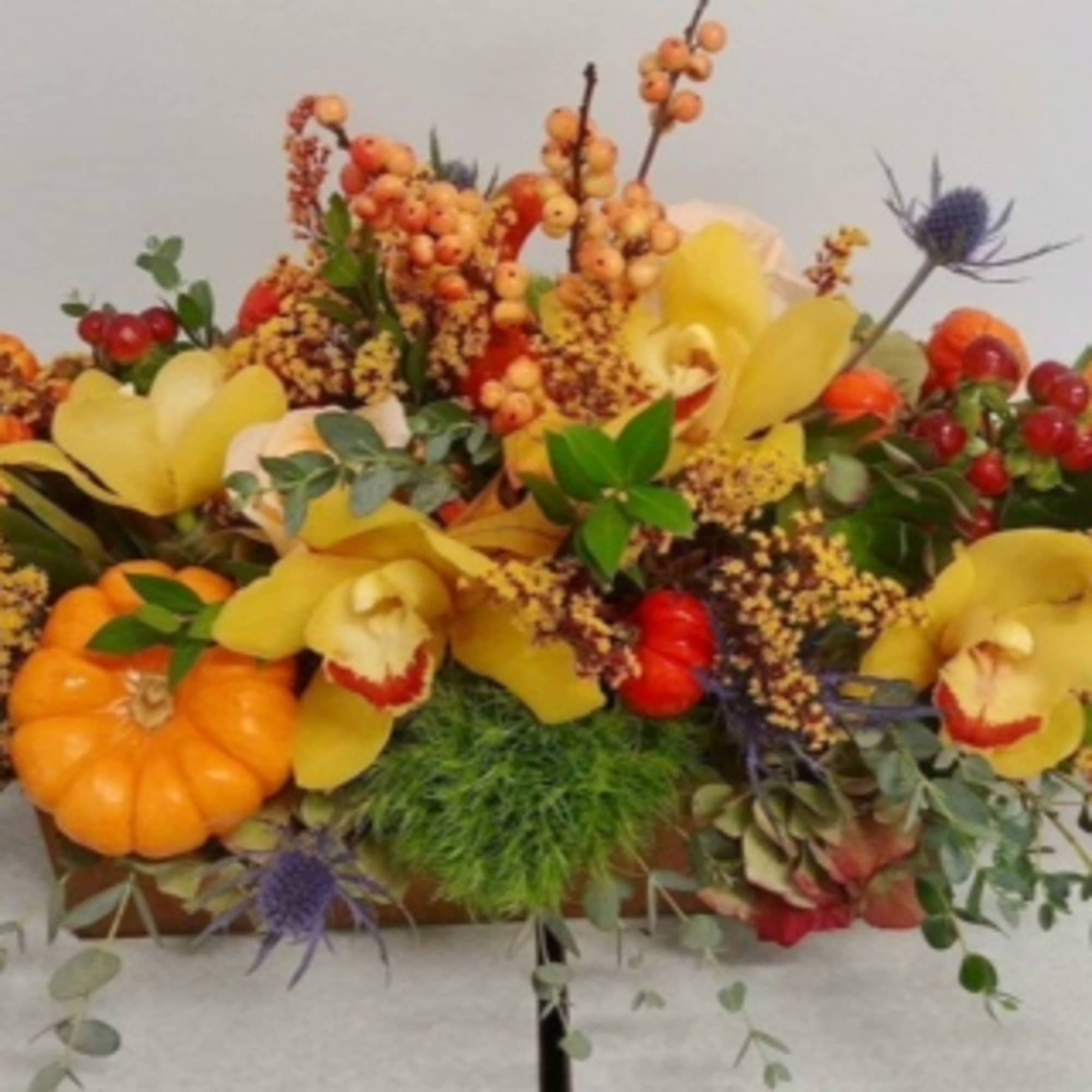 Shades of Autumn is collection of succulents and Fall goods in a, photo 3 of 3