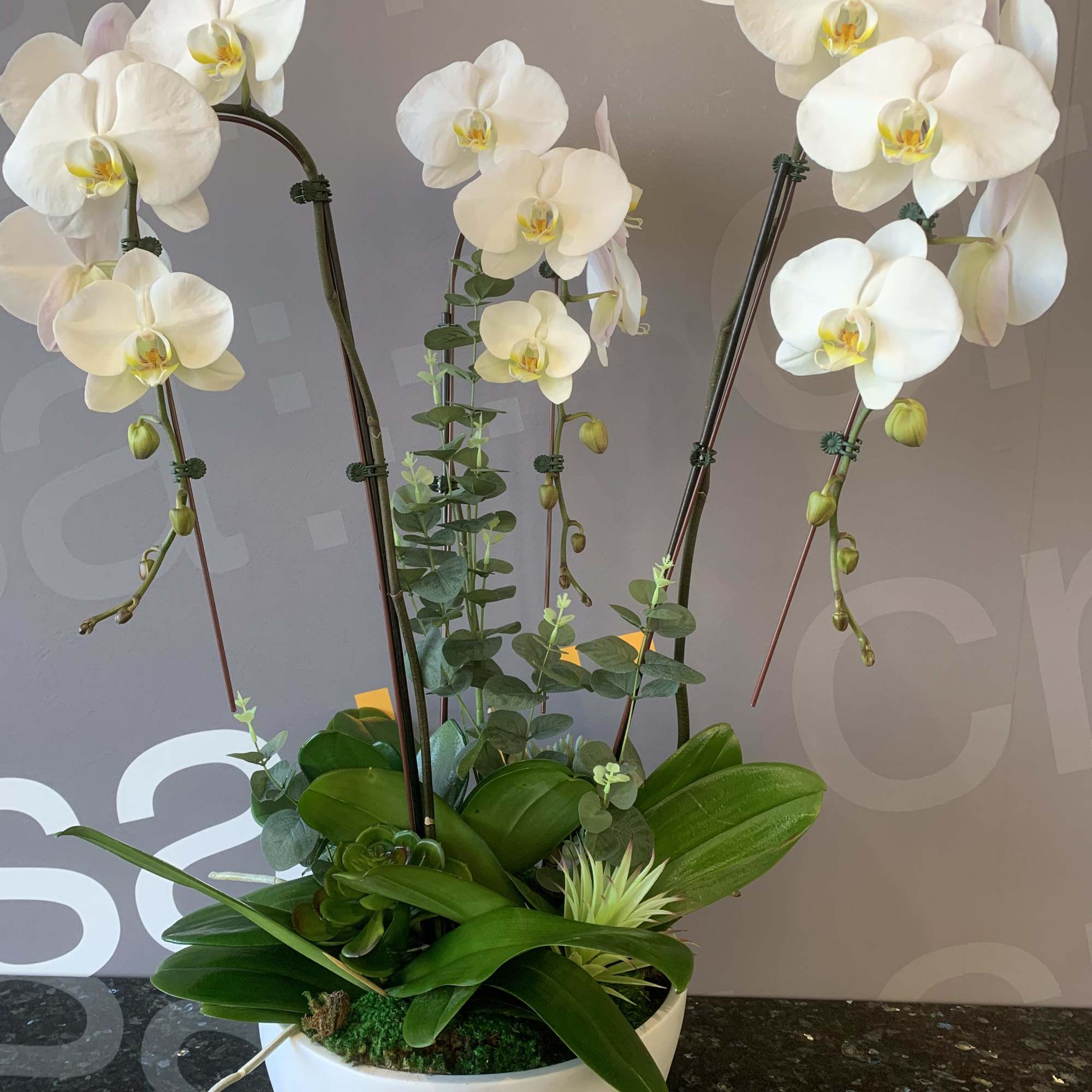 White orchid arrangement in a white bowl planter
