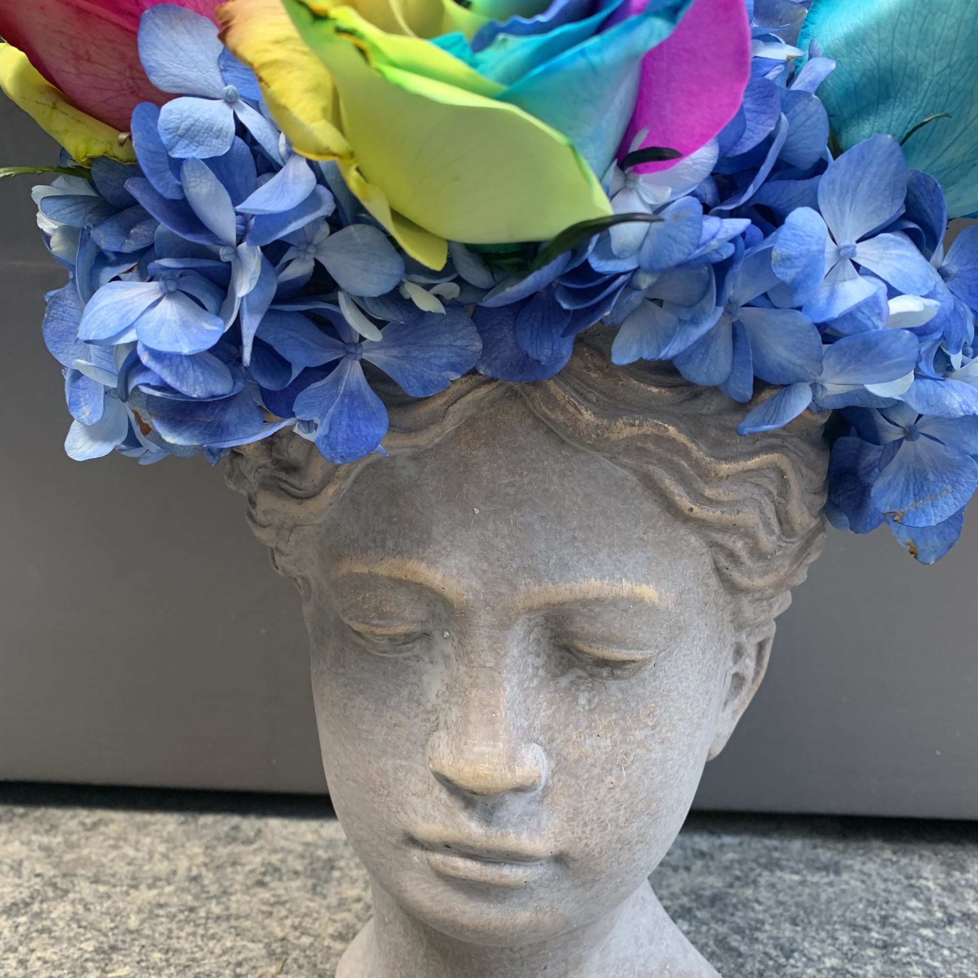 Rainbow roses and blue hydrangeas in a stone head planter