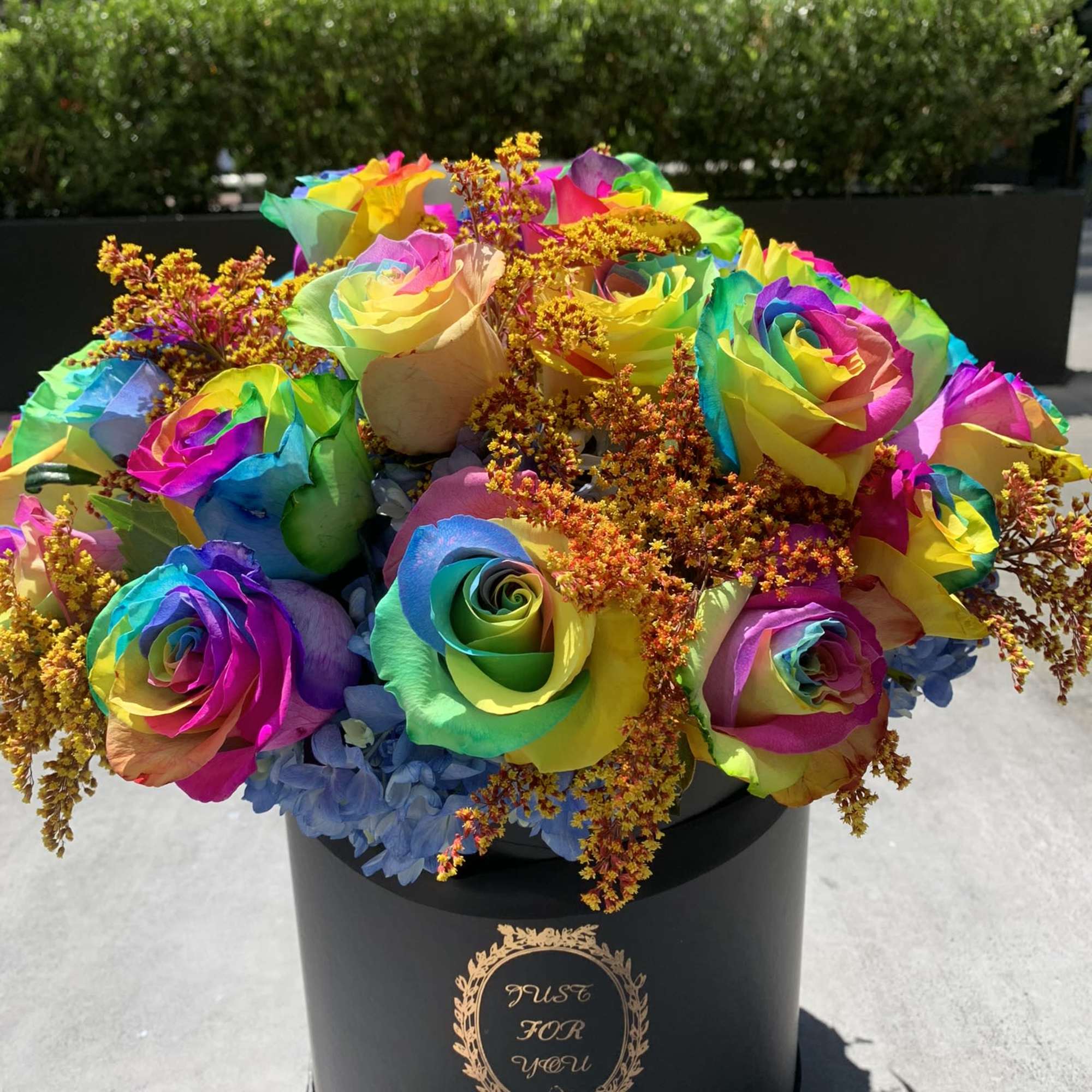 Rainbow roses in a black hatbox with blue filler flowers