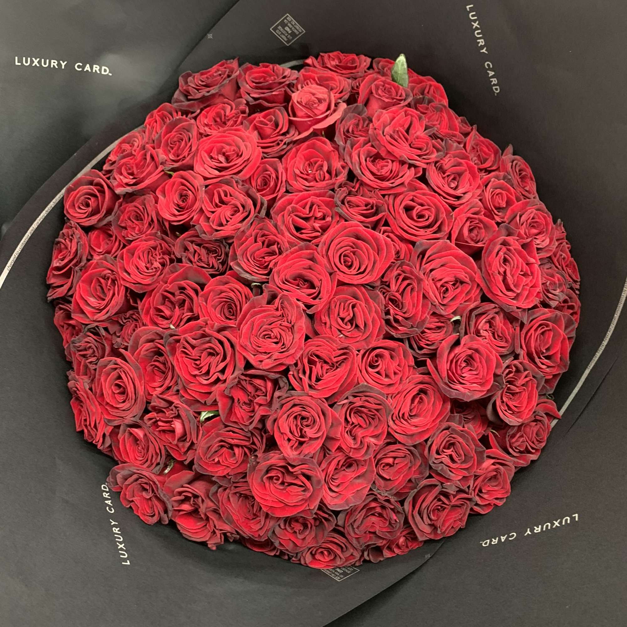 Large round bouquet of red roses wrapped in black paper