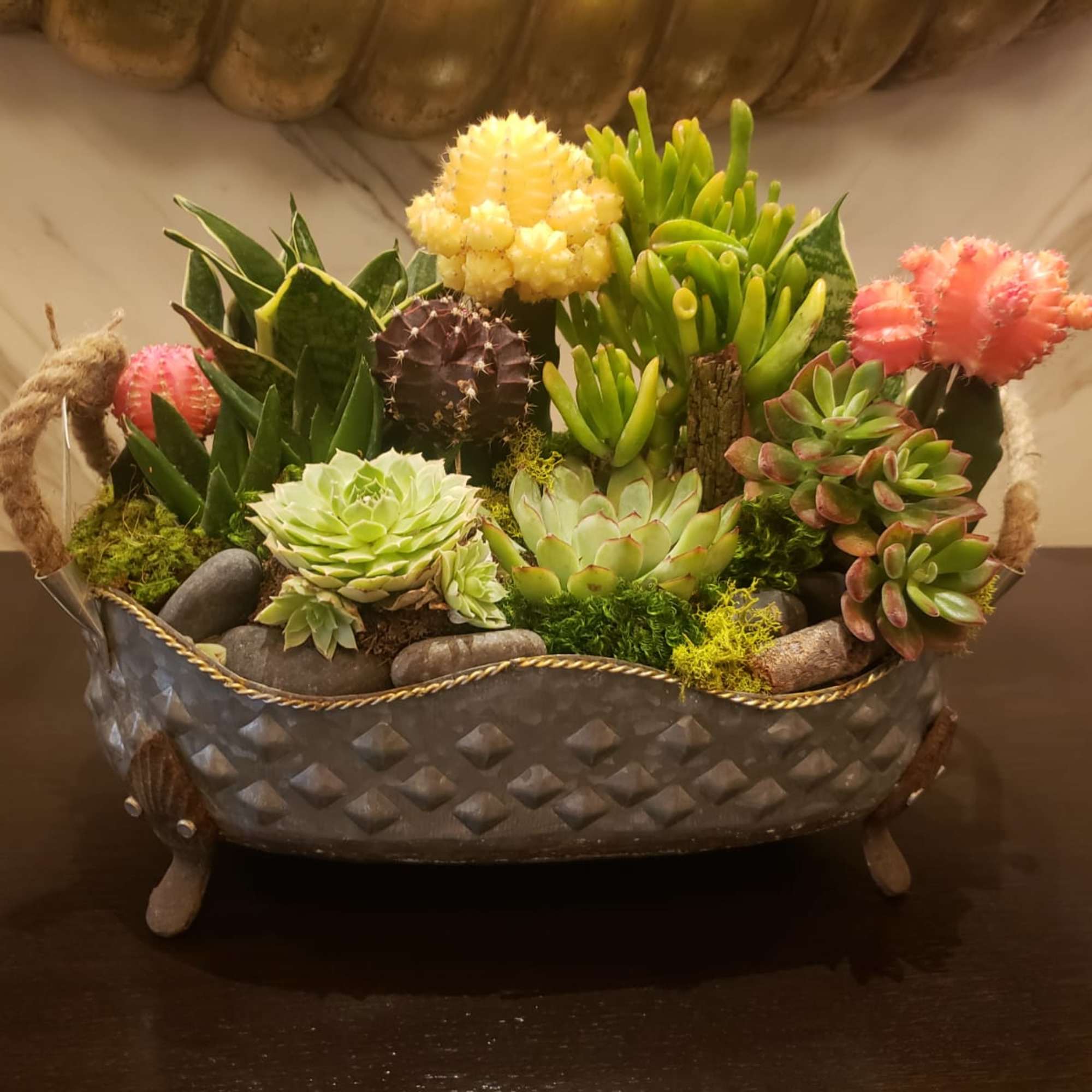 Succulent arrangement in a metal basket with colorful cactus accents, photo 2 of 3