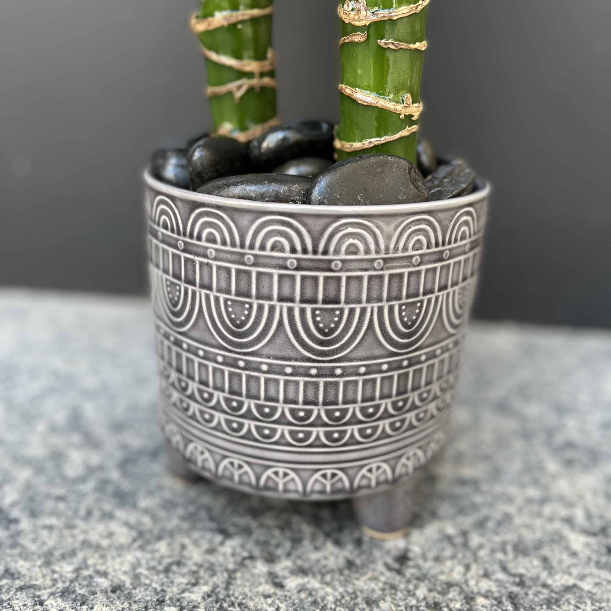 Two lucky bamboo stalks in a patterned metal pot with black stones