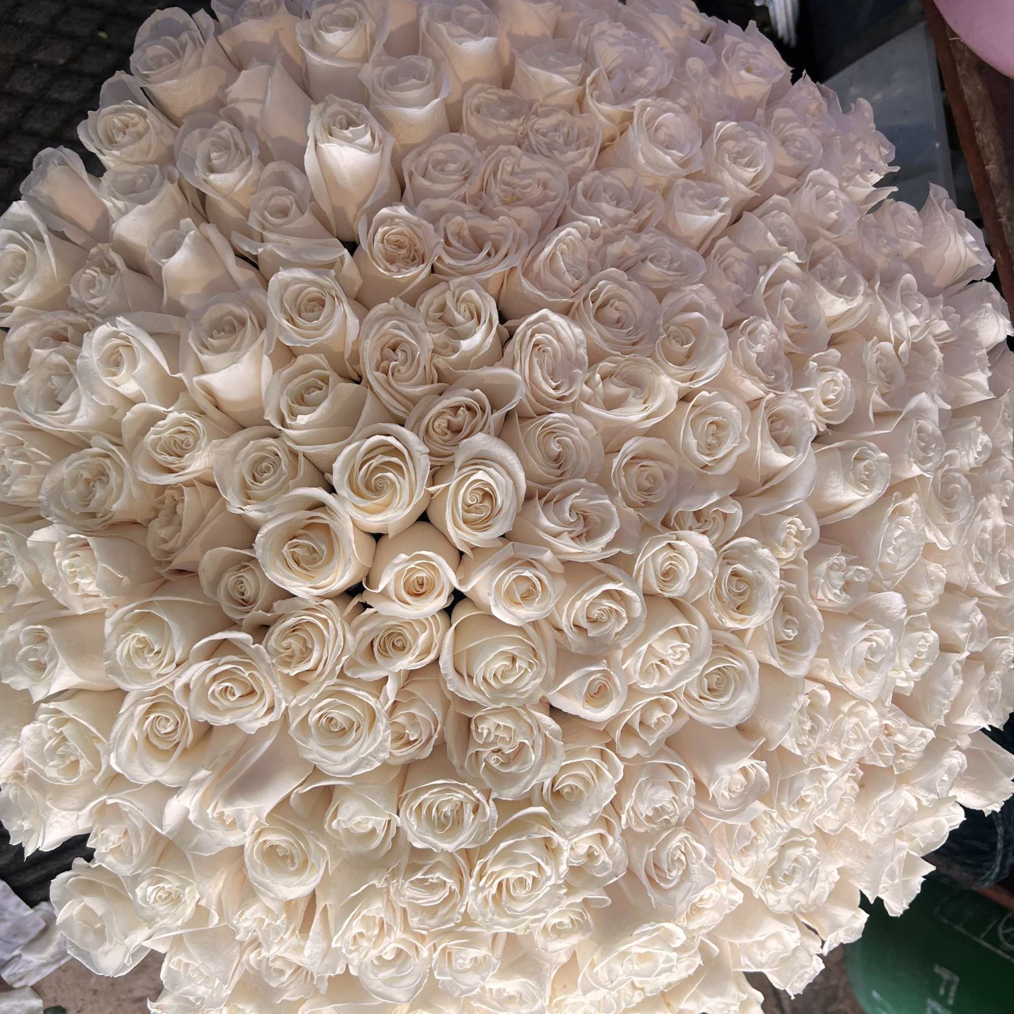 Large bouquet of ivory roses tightly packed together
