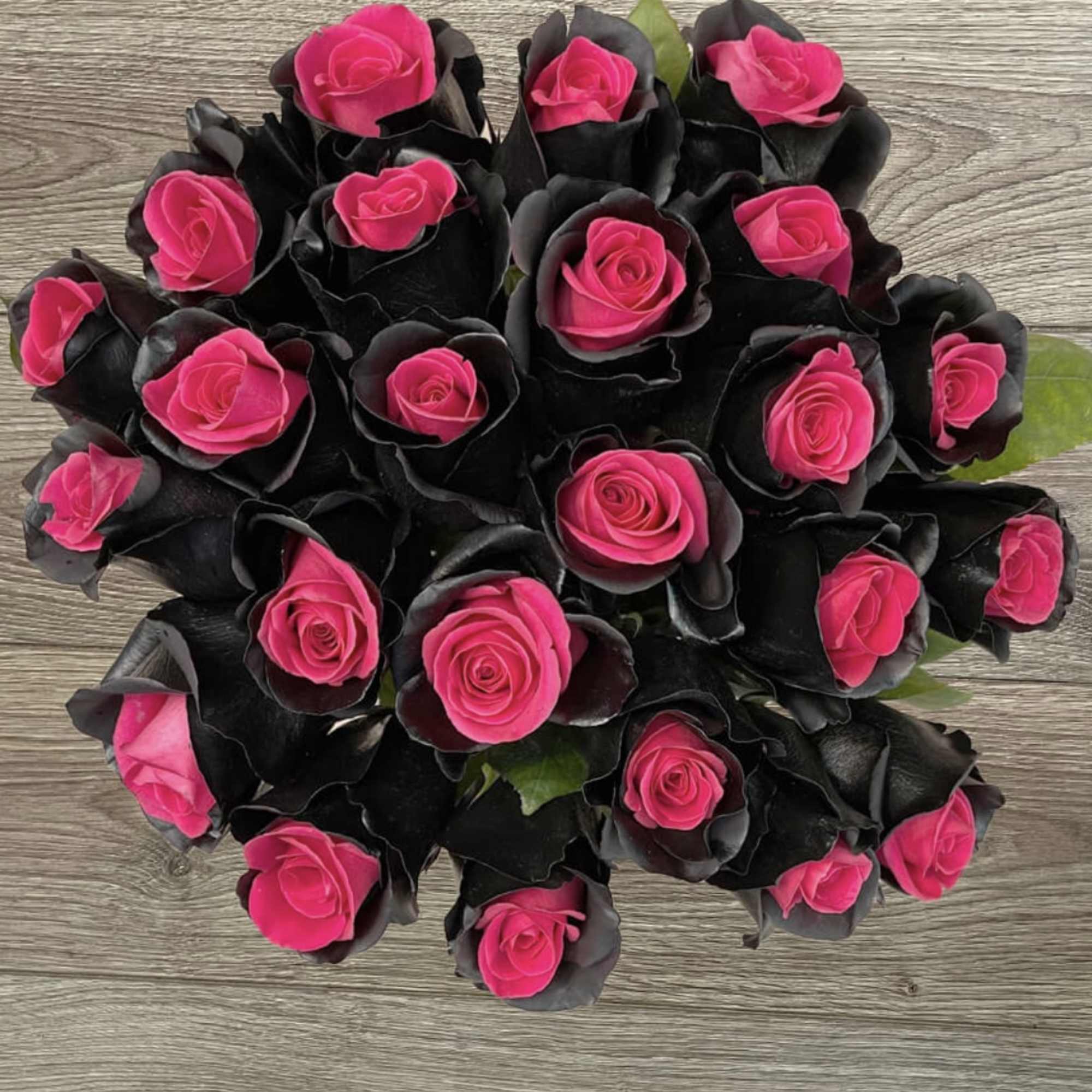 Bouquet of hot pink roses with dark black petals