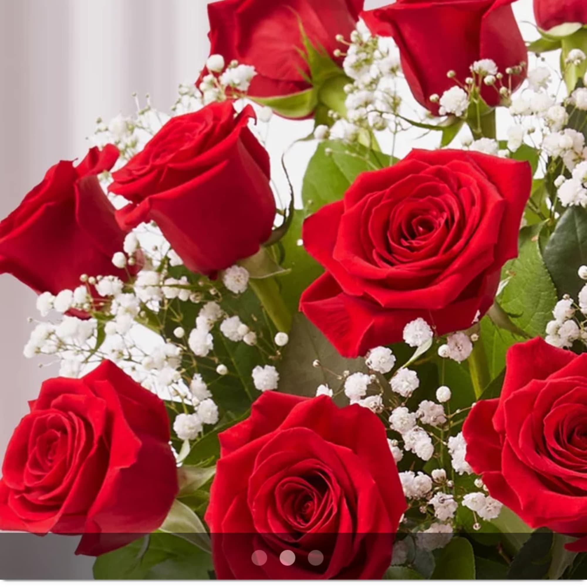 Bouquet of red roses with white baby's breath