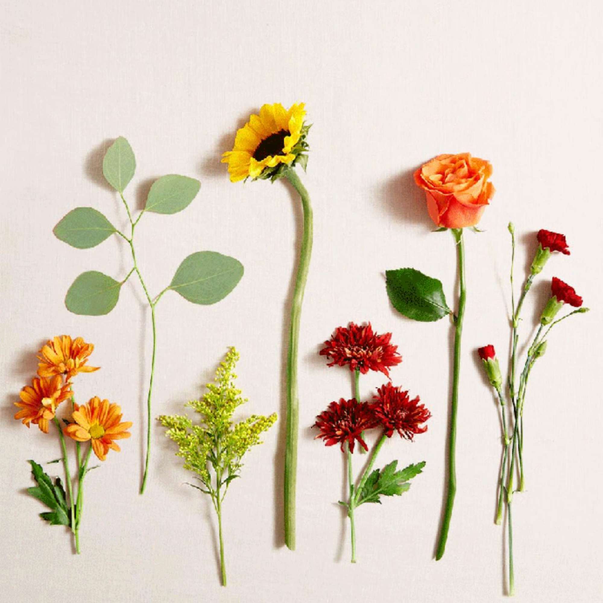 Assorted single blooms of sunflower, orange rose, mums, and red carnations on a light background