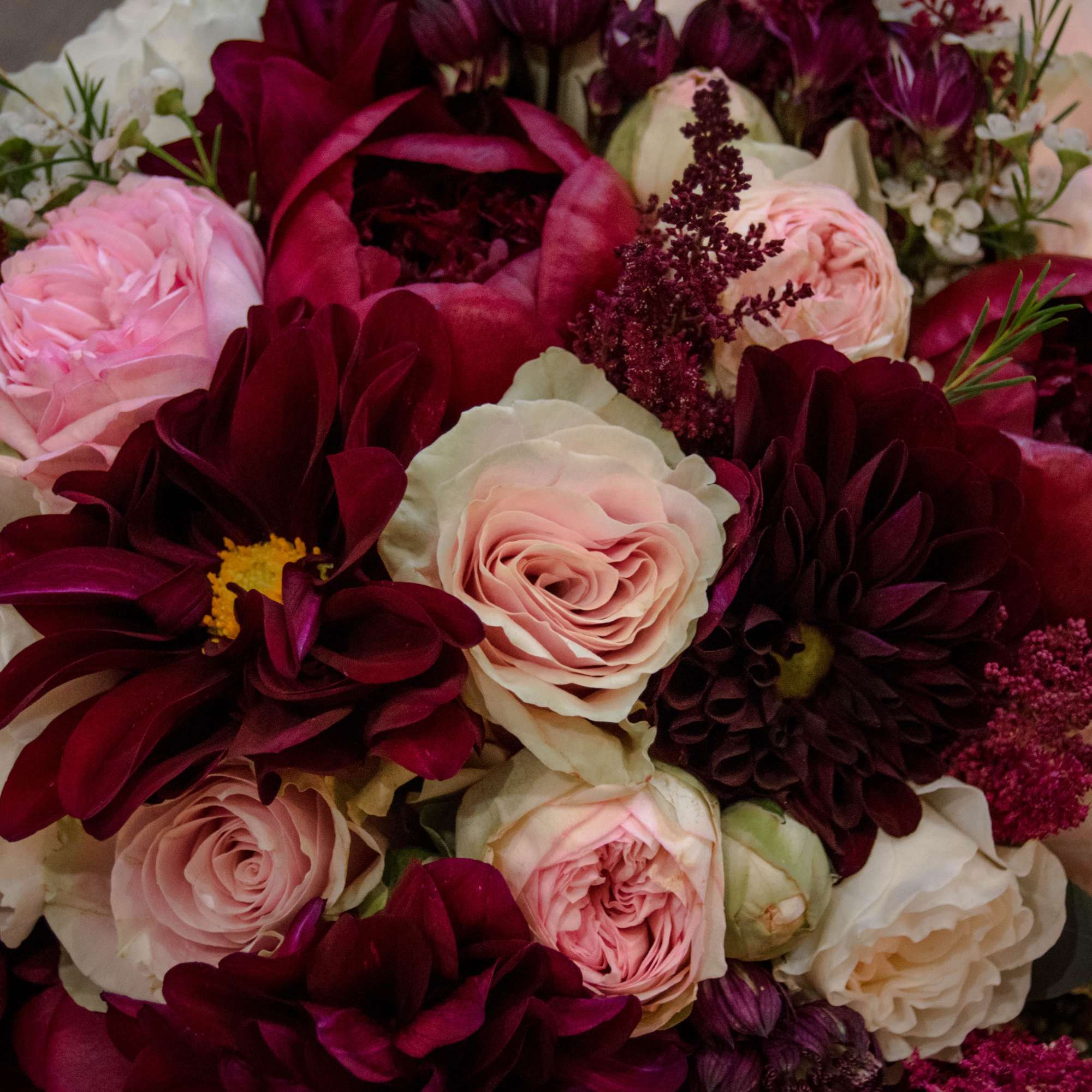 Bouquet of burgundy, blush, and white flowers