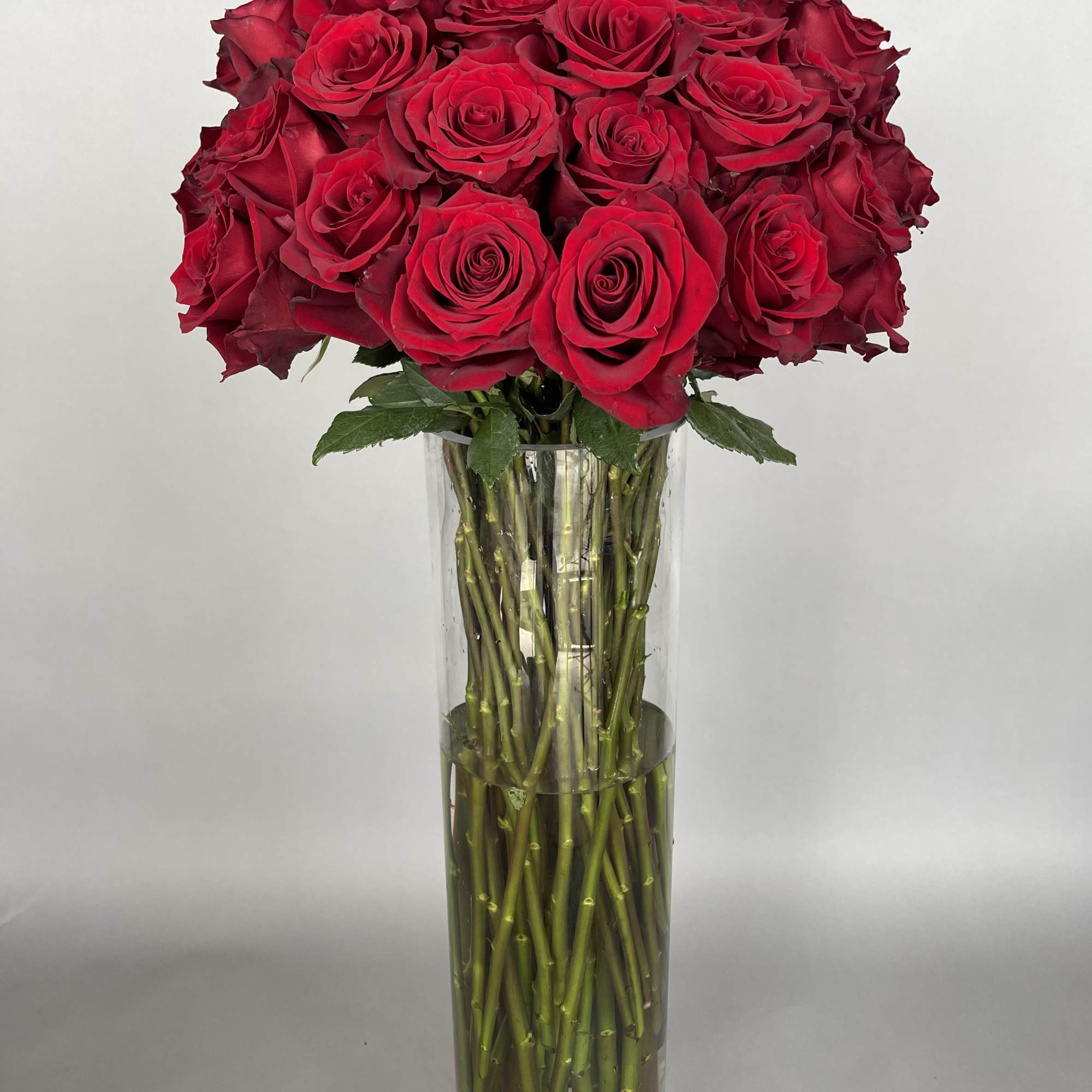 50 long stem roses. 
