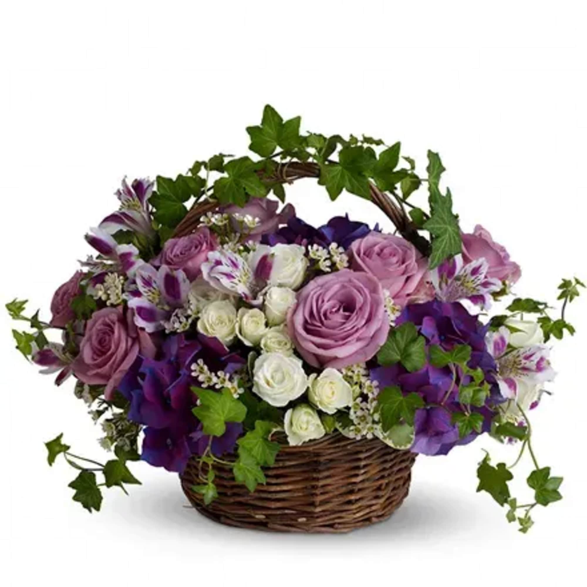Purple and white rose arrangement in a wicker basket with ivy