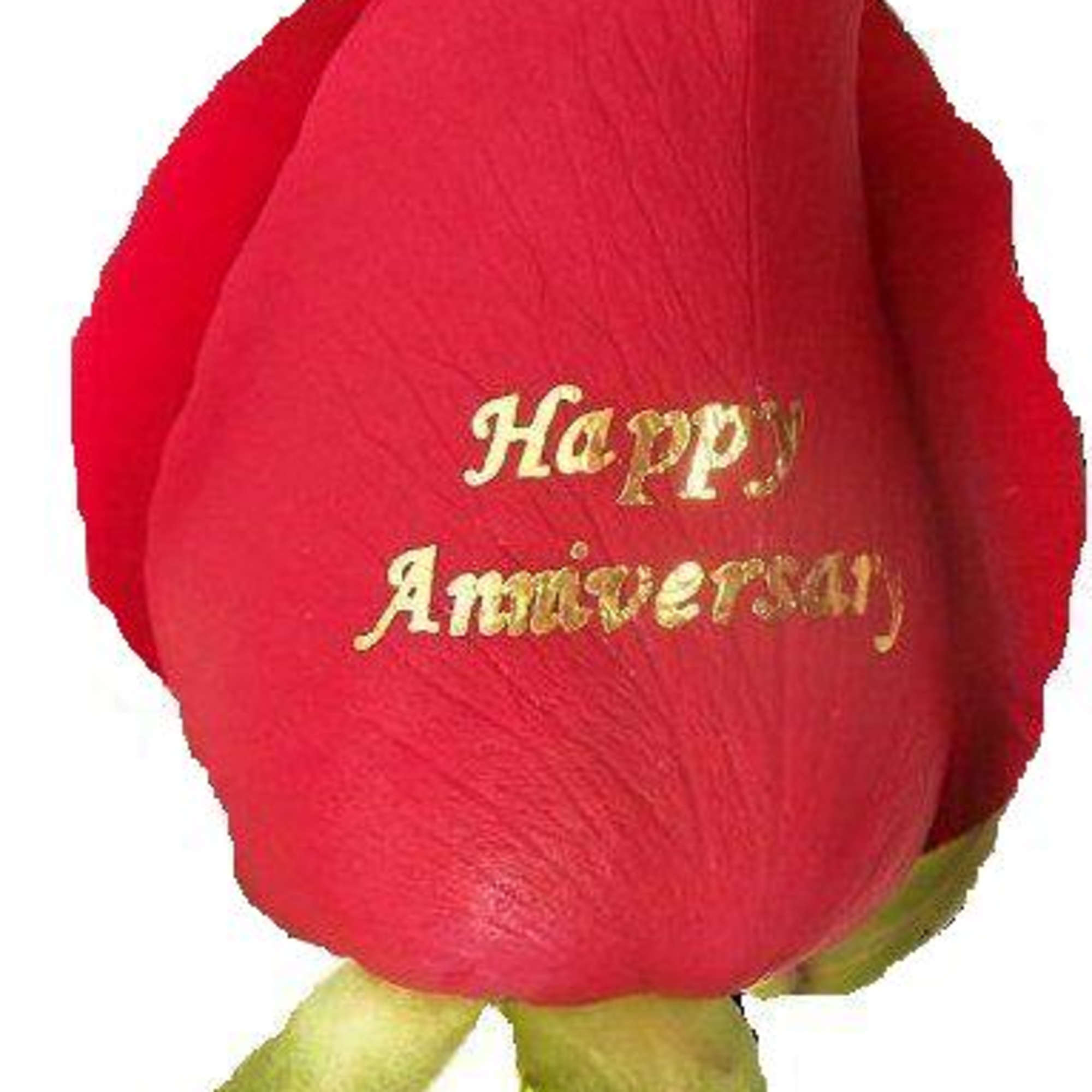 Single red rose bud with gold "Happy Anniversary" text