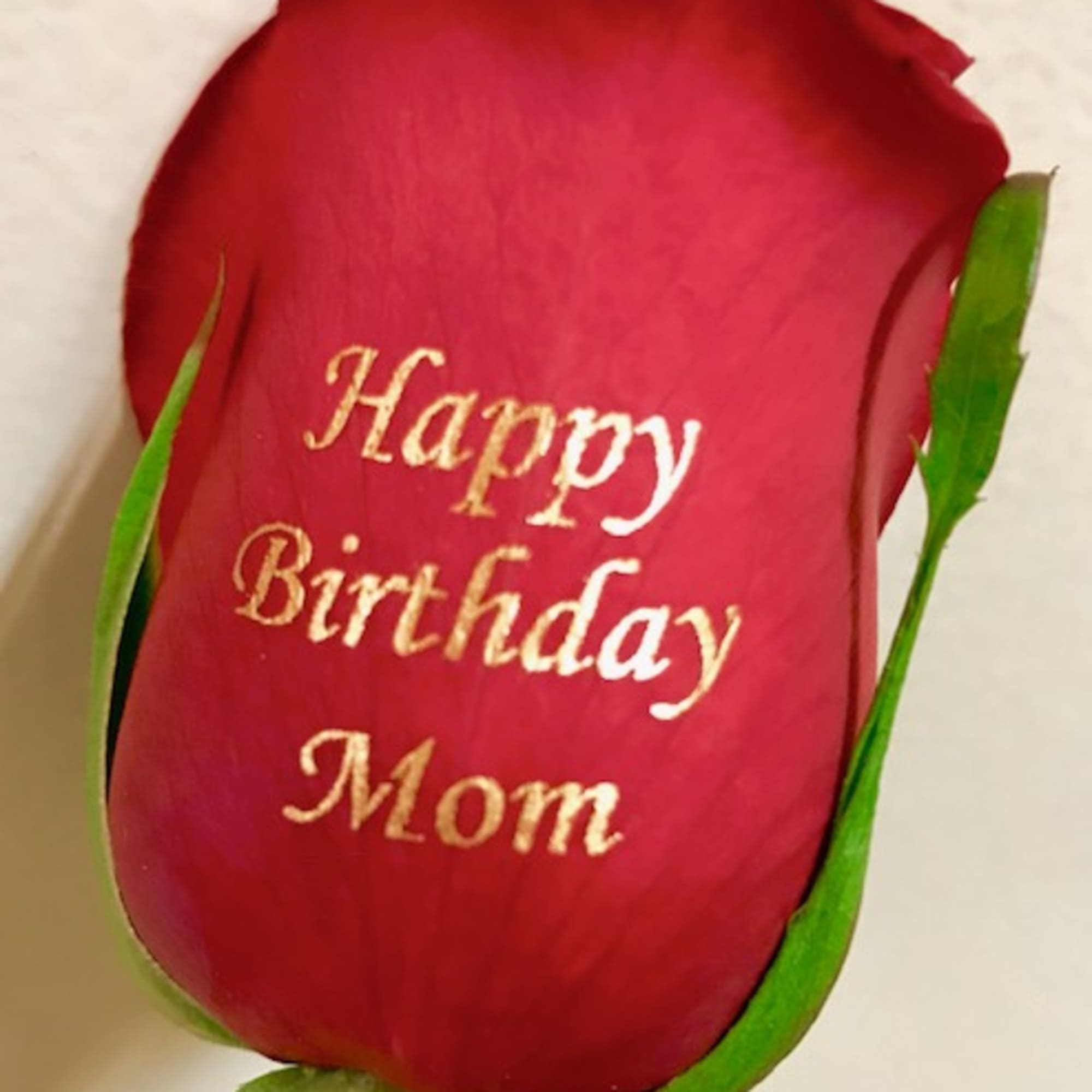 Single red rose with "Happy Birthday Mom" text on the petal
