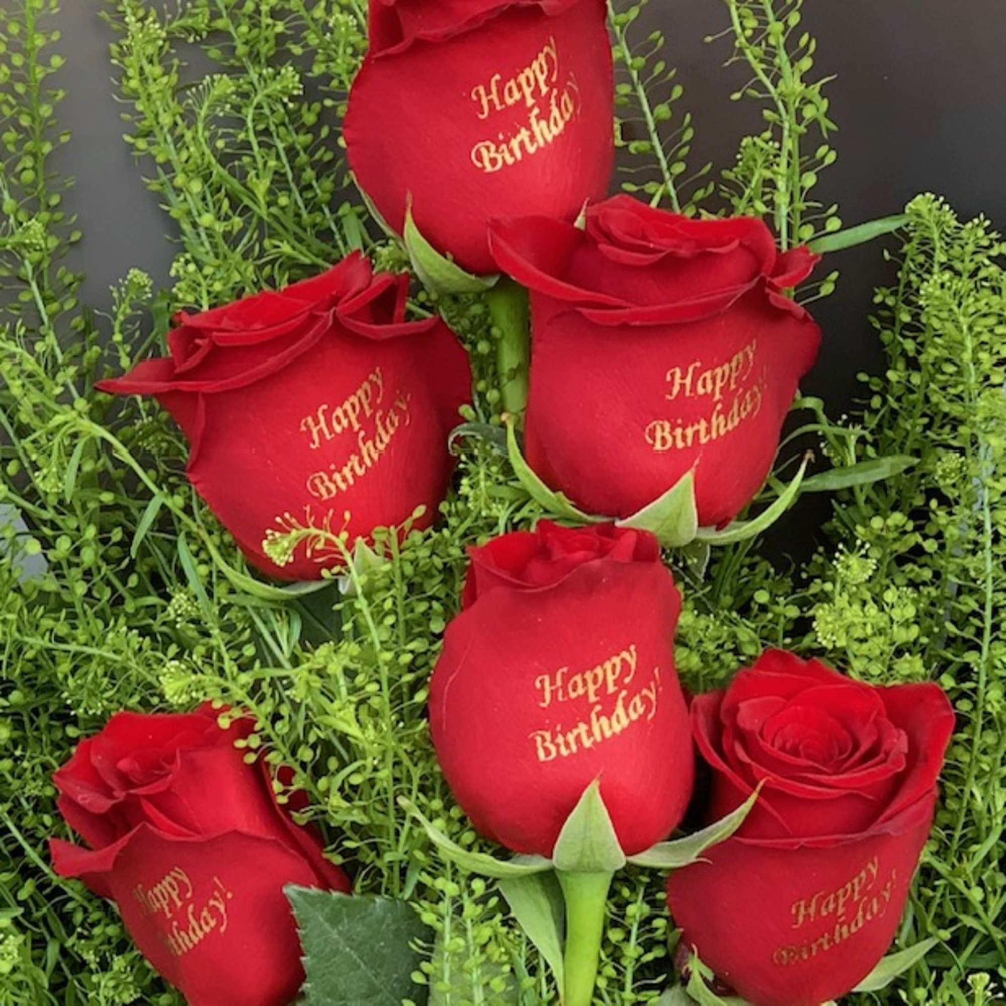 Red roses with "Happy Birthday" printed on the petals