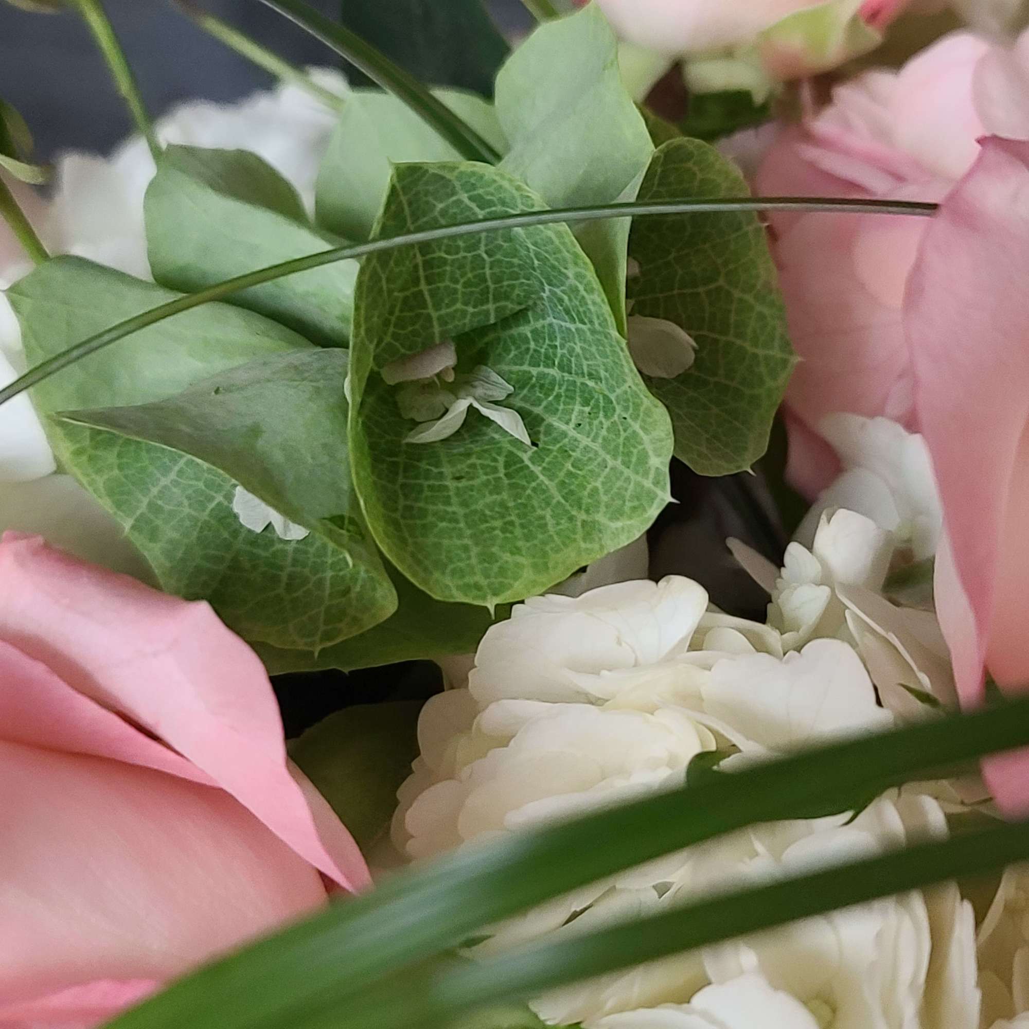 Close-up bouquet of pink and white flowers with green petals