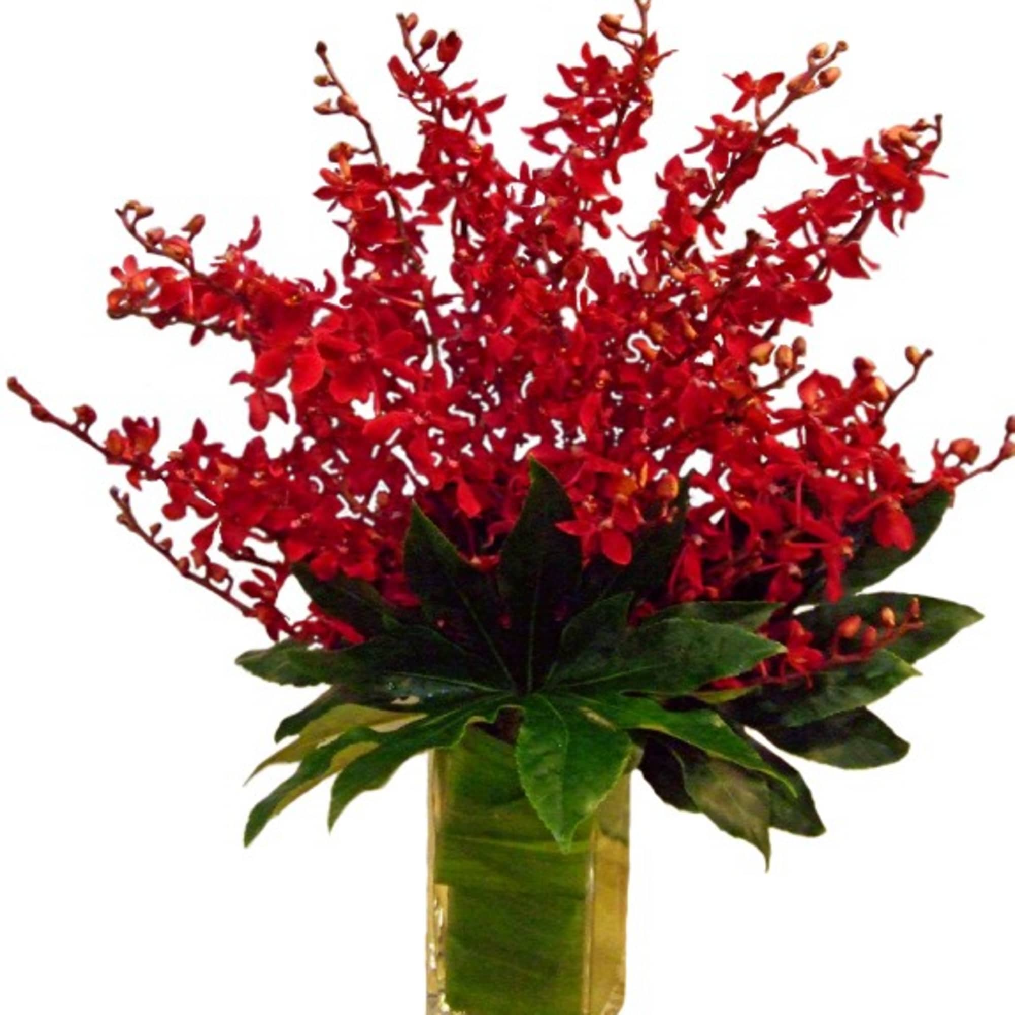 Red orchid arrangement in a clear rectangular vase