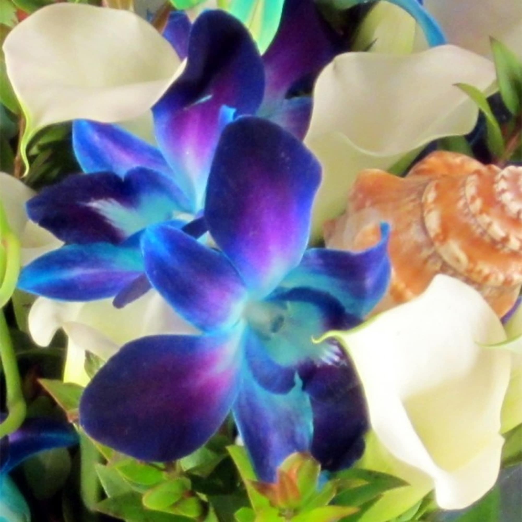 Close-up bouquet of white calla lilies and blue-purple orchids