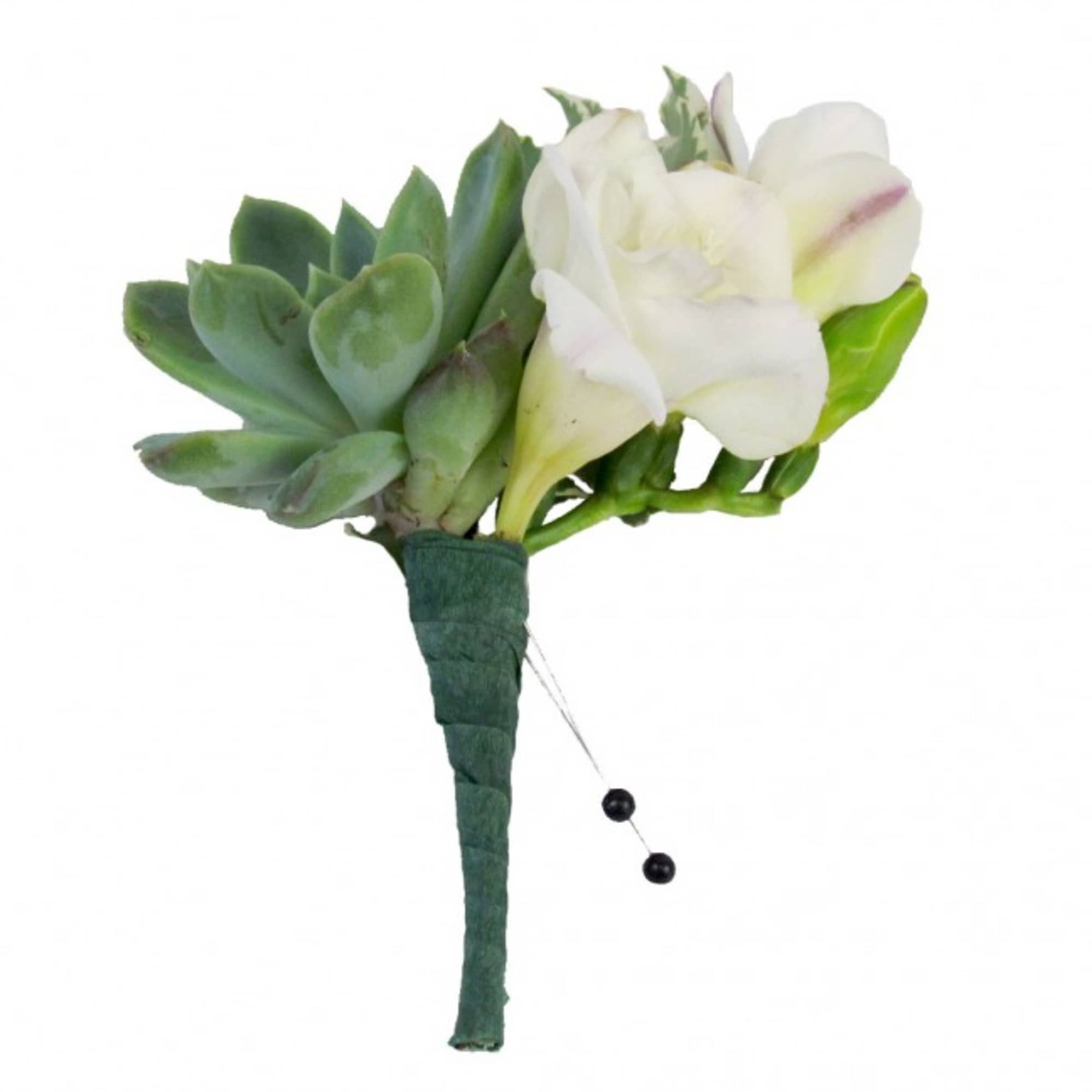 White calla lily and succulent boutonniere with green wrap