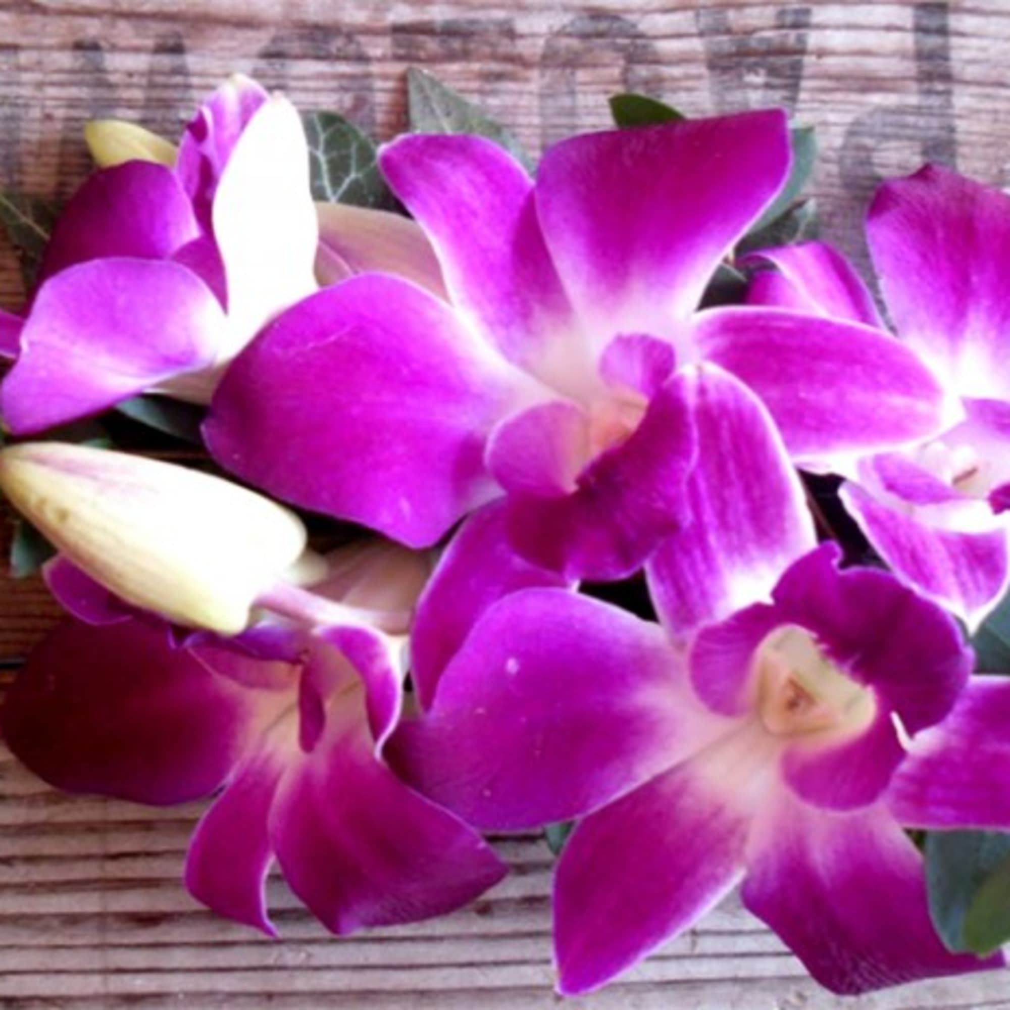 Bouquet of purple and white orchids on a wooden surface