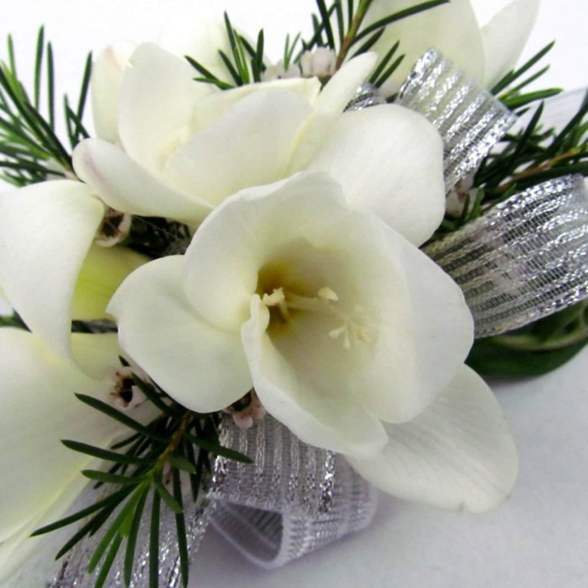 White calla lily corsage with silver ribbon and evergreen sprigs