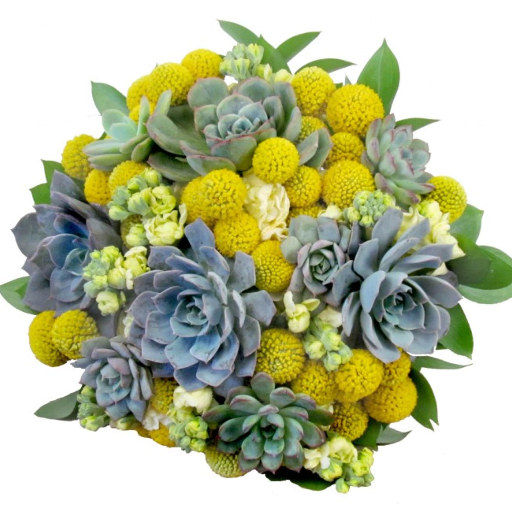 Bouquet of succulents and yellow pom-pom flowers