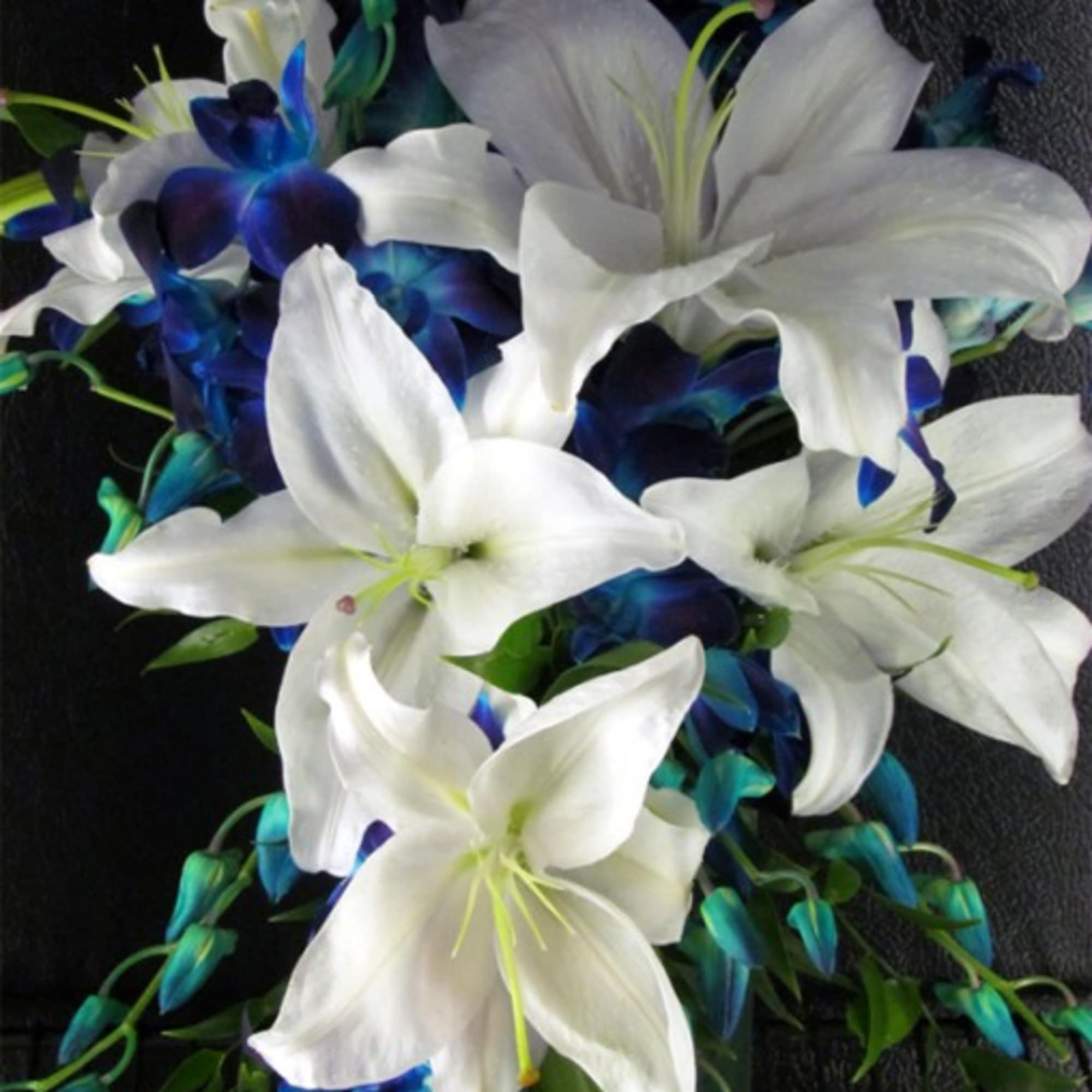White lilies with blue orchids on a dark background