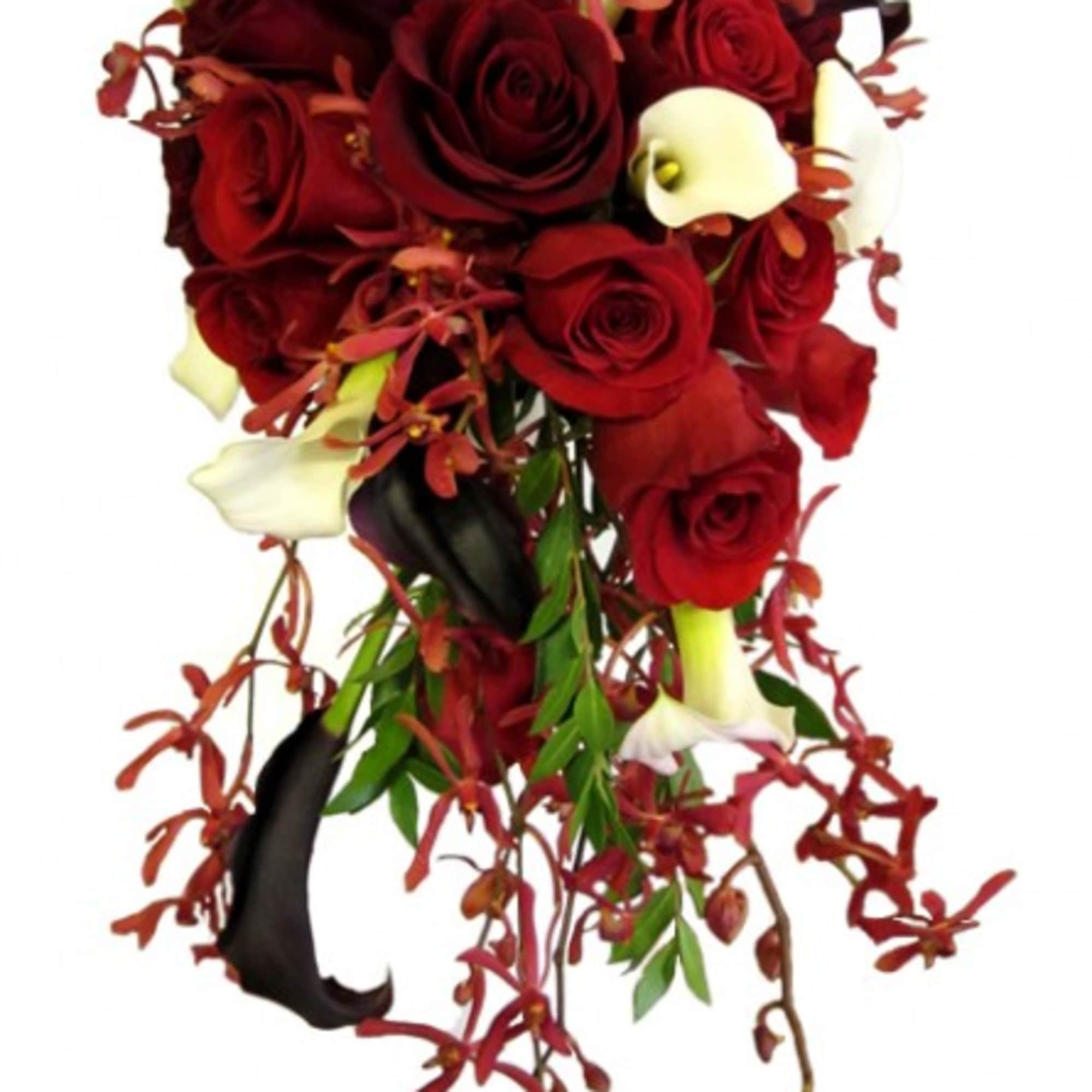 Cascade bouquet of red roses and white calla lilies