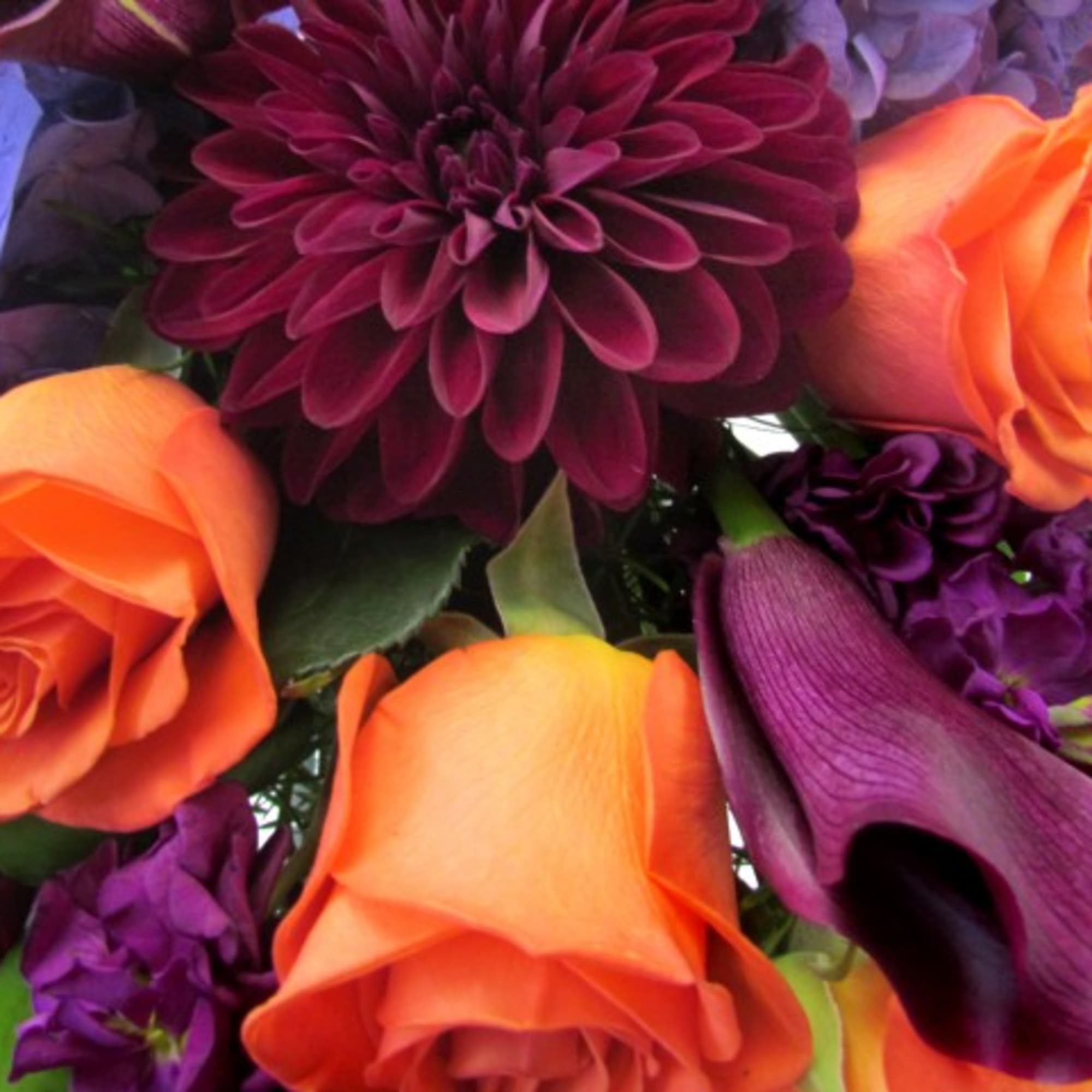 Bouquet of orange roses, purple dahlias, and calla lilies