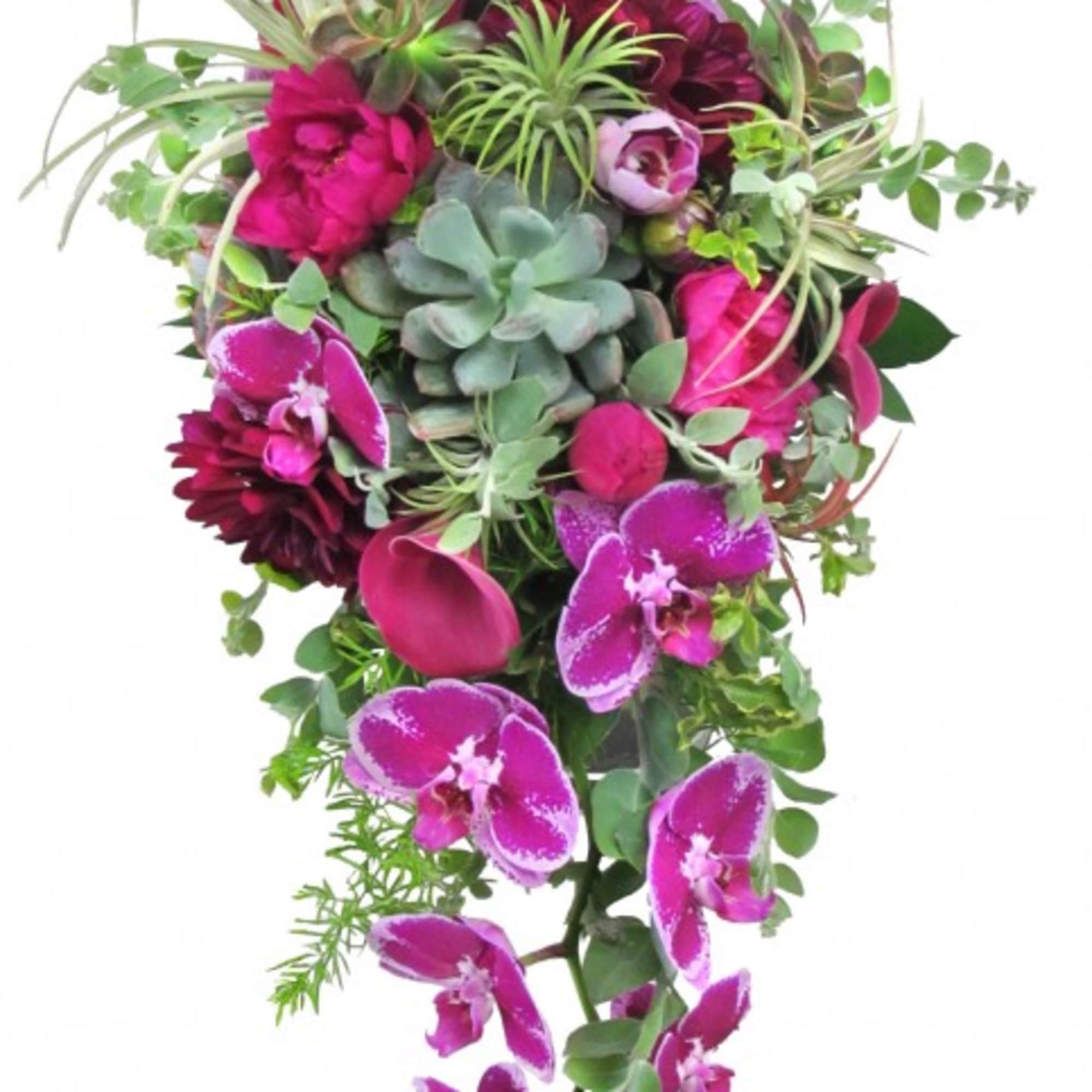 Cascade bouquet with magenta orchids, calla lilies, and succulents