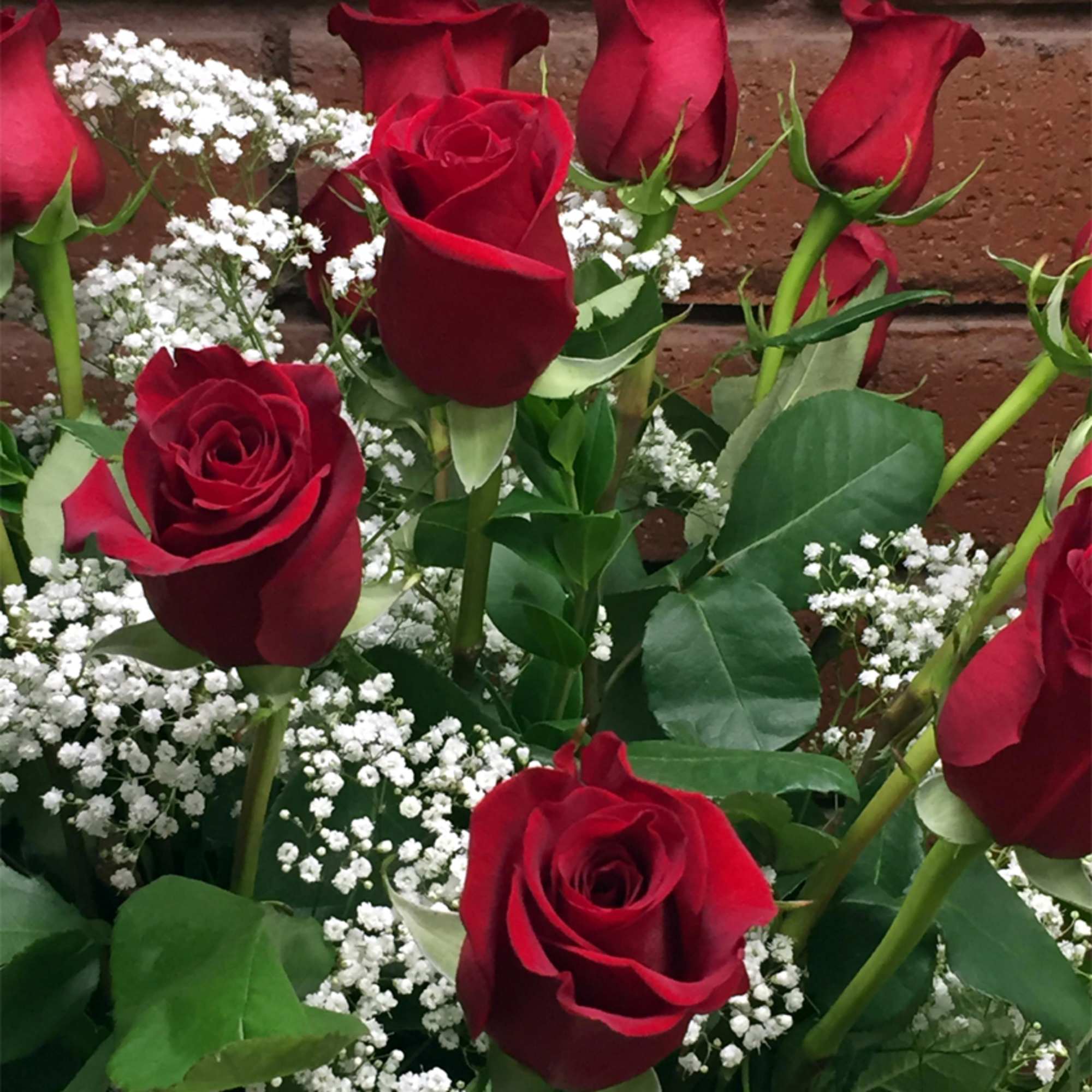 Red roses with white baby's breath against a brick wall