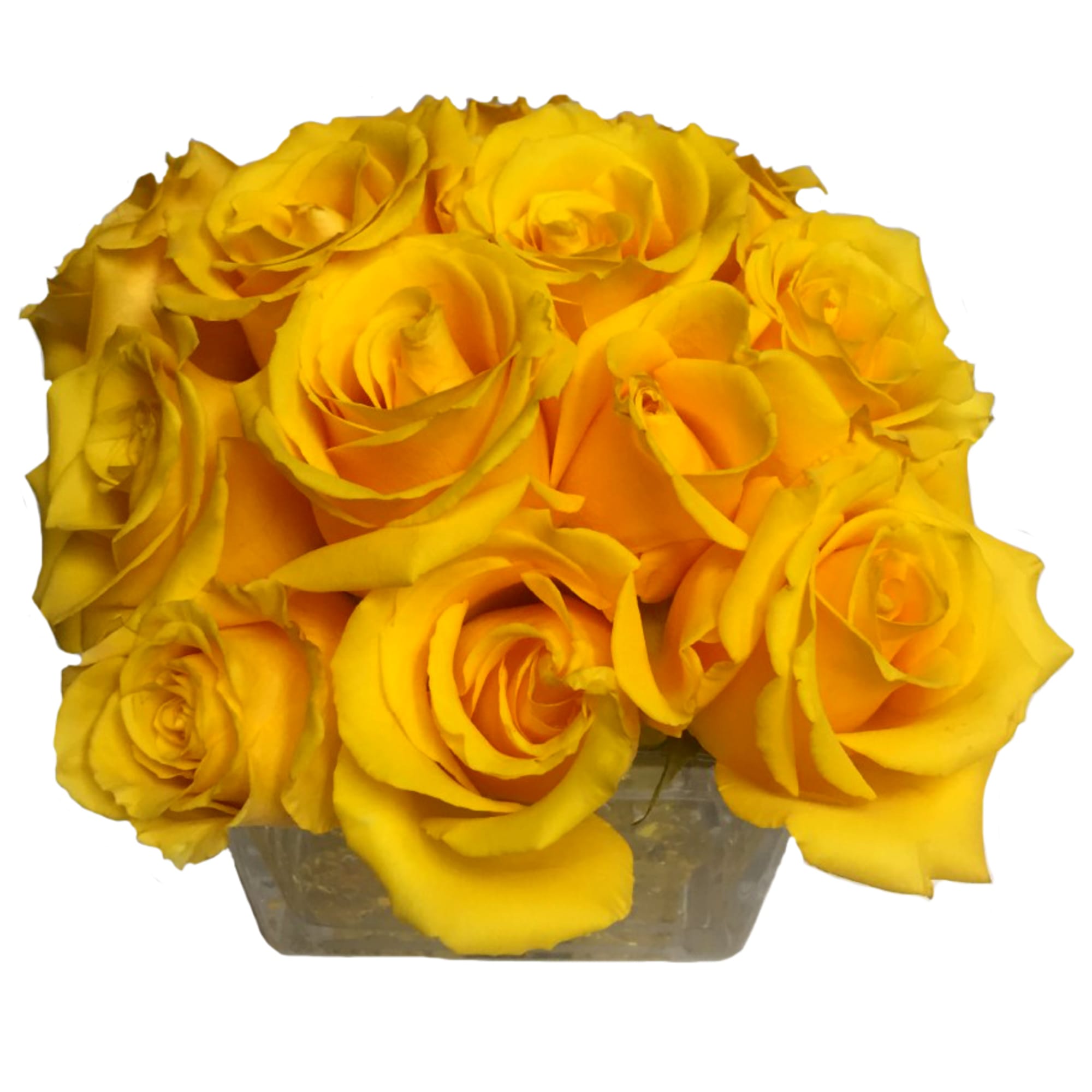Yellow roses arranged in a clear square vase
