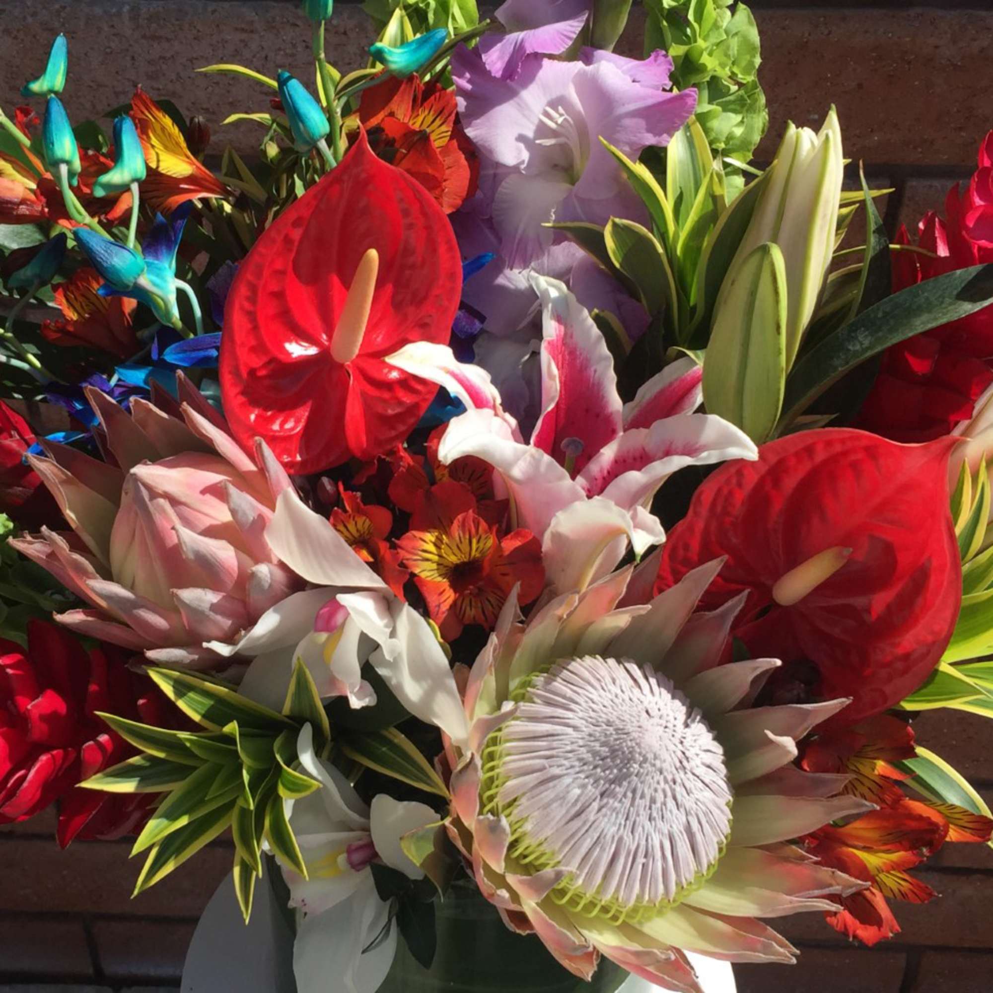Bright tropical bouquet with anthuriums, lilies, and protea in vivid colors