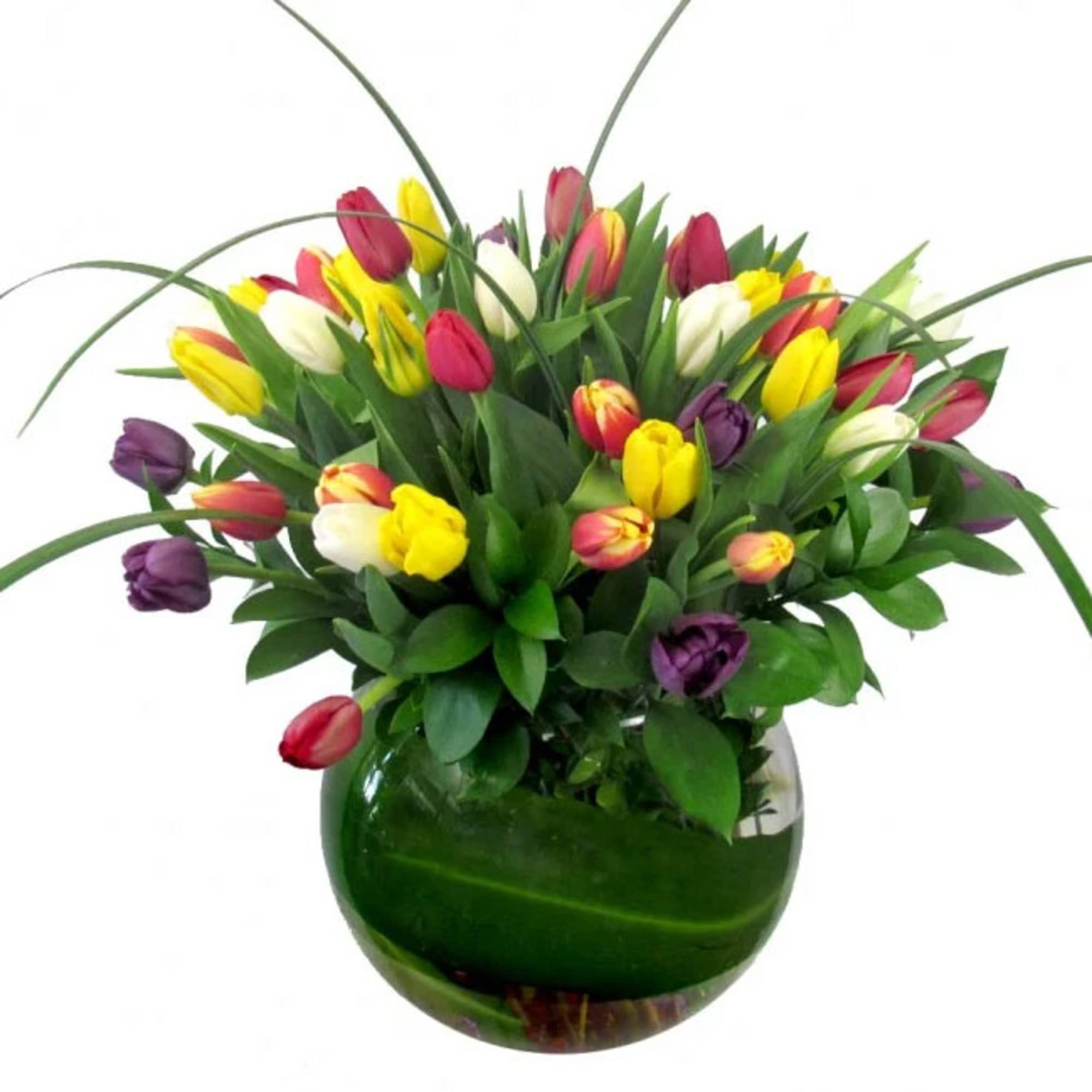 Splash of Color Tulip Bouquet &ndash; Fresh, Colorful &amp; Hand-Arranged

Brighten any space