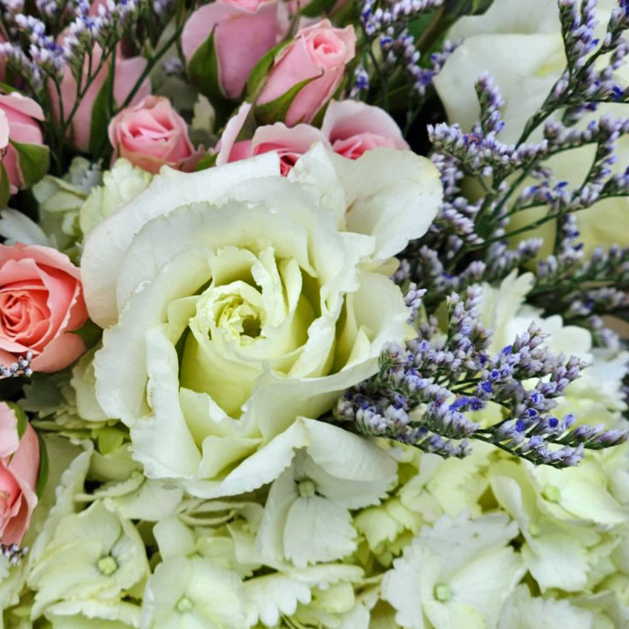 Close-up bouquet of white and pink roses with pale hydrangeas and purple filler flowers