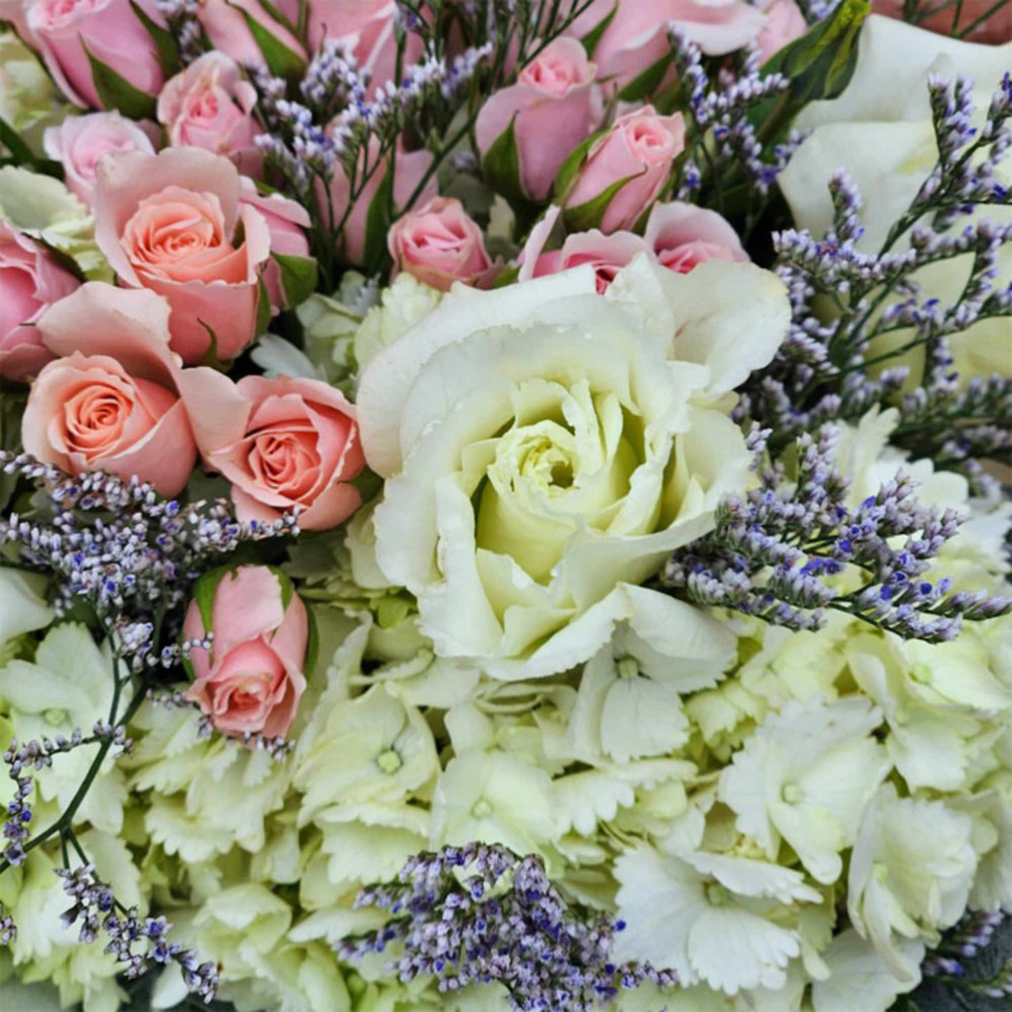 Pink roses and white hydrangeas with purple filler flowers in a bouquet