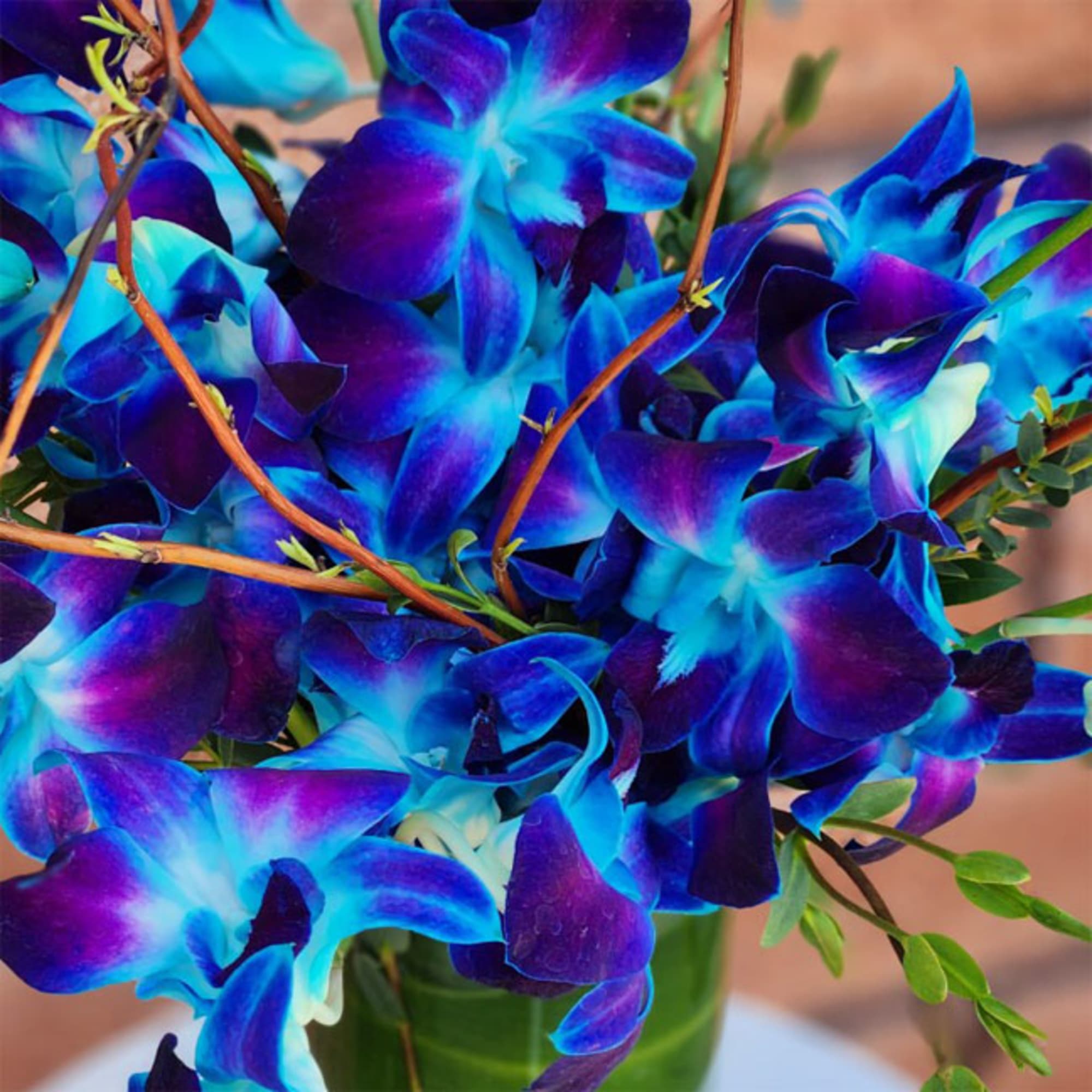 Bouquet of vivid blue and purple orchids in a vase