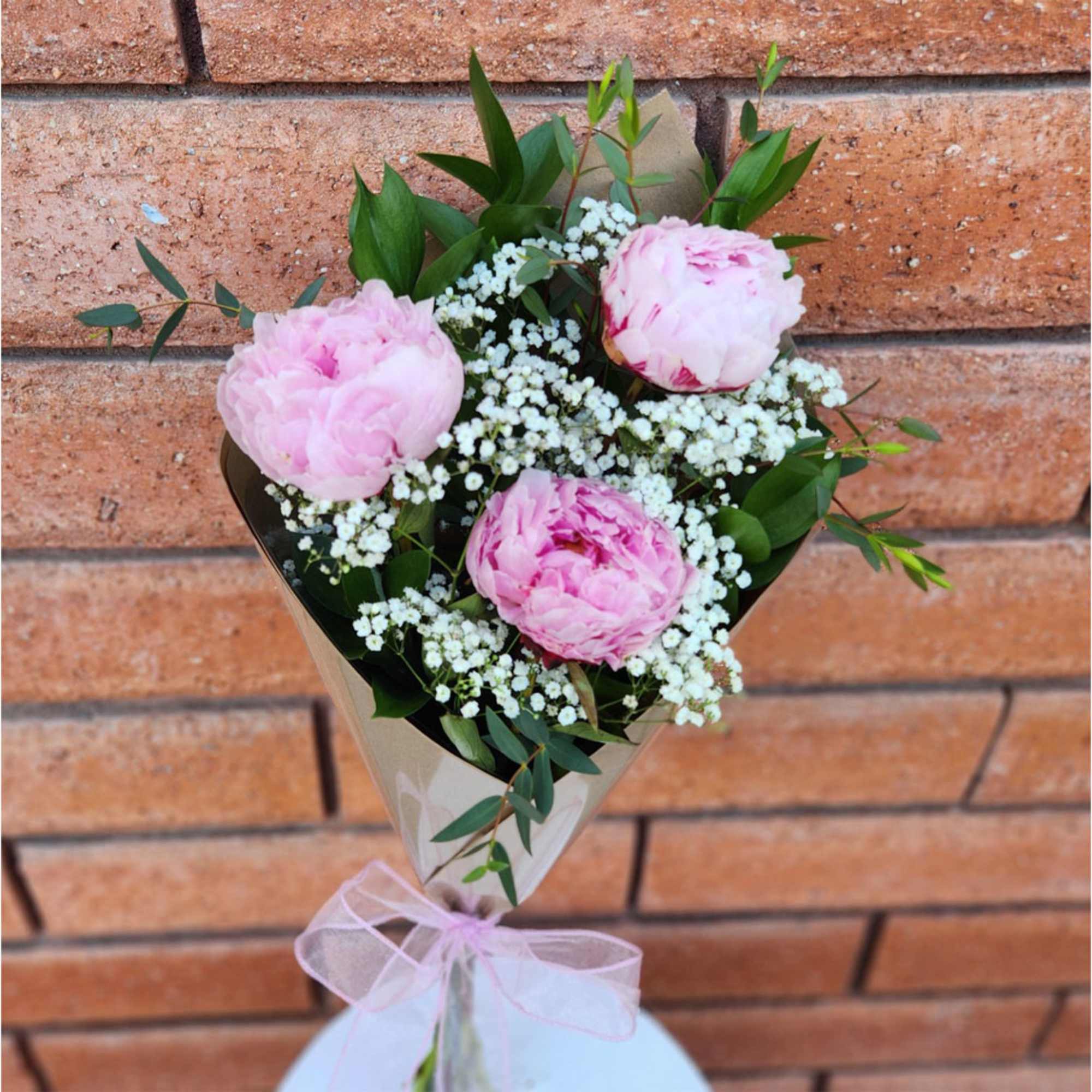 Pink peonies with white baby's breath in a wrapped bouquet