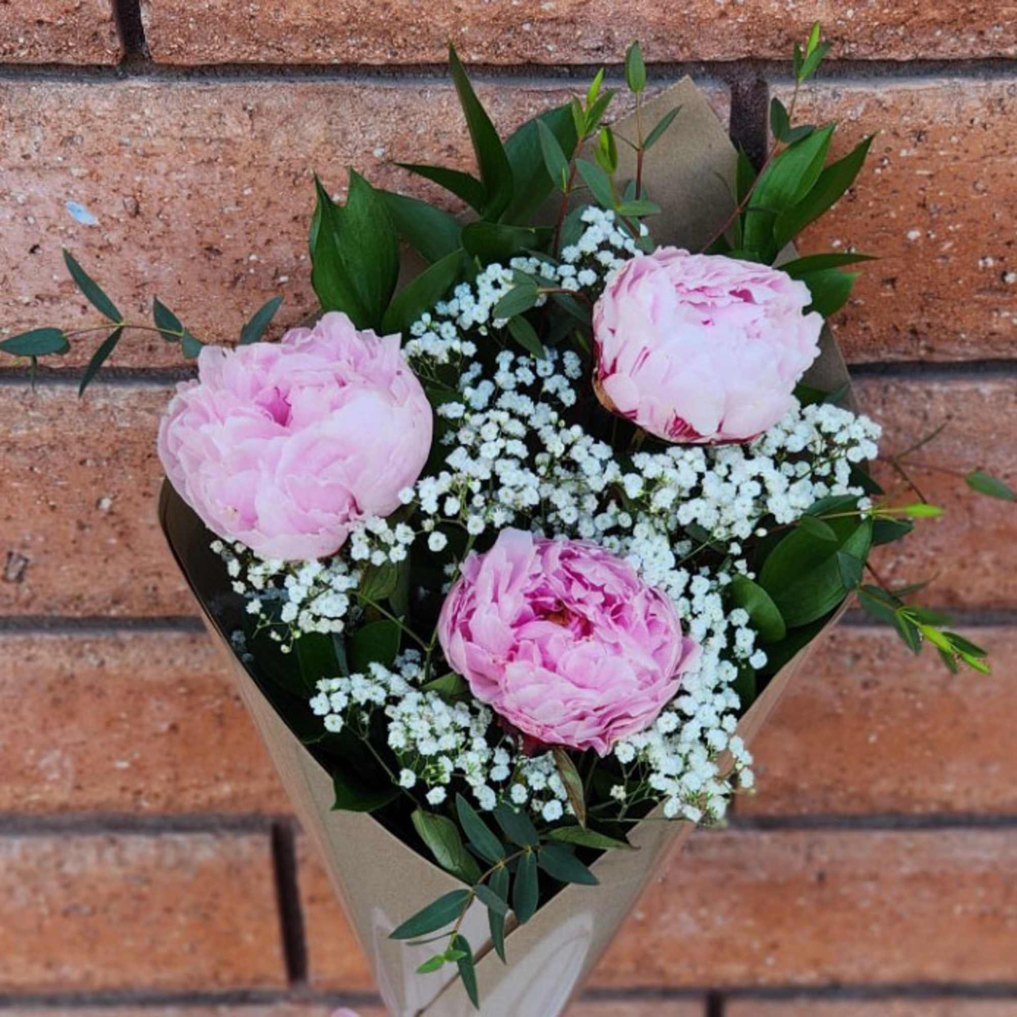 Bouquet of pink peonies with white baby's breath