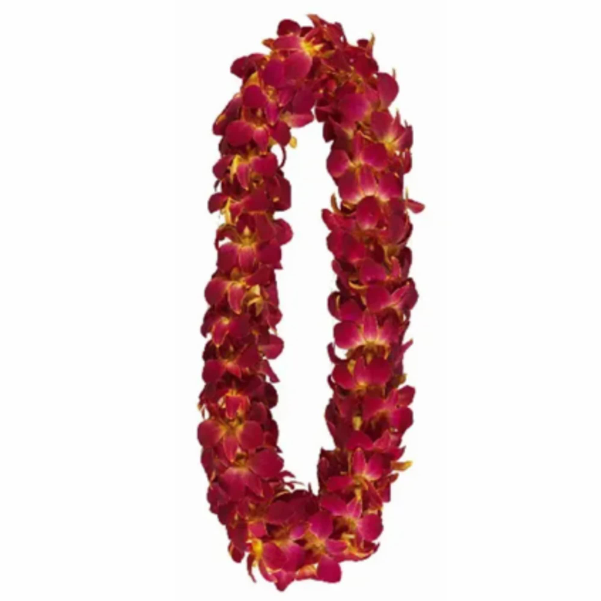 Red orchid lei on a white background