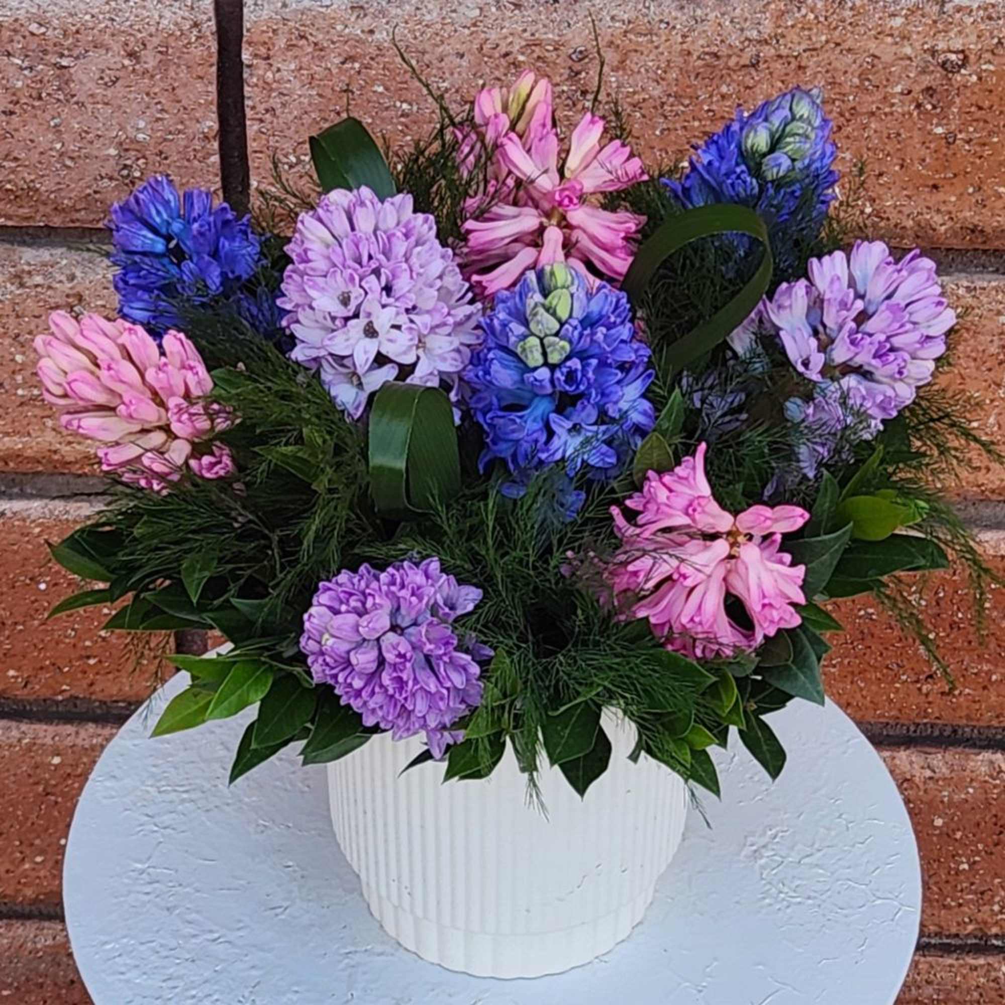 Potted arrangement of pink, purple, and blue hyacinth-style blooms in a white ribbed container