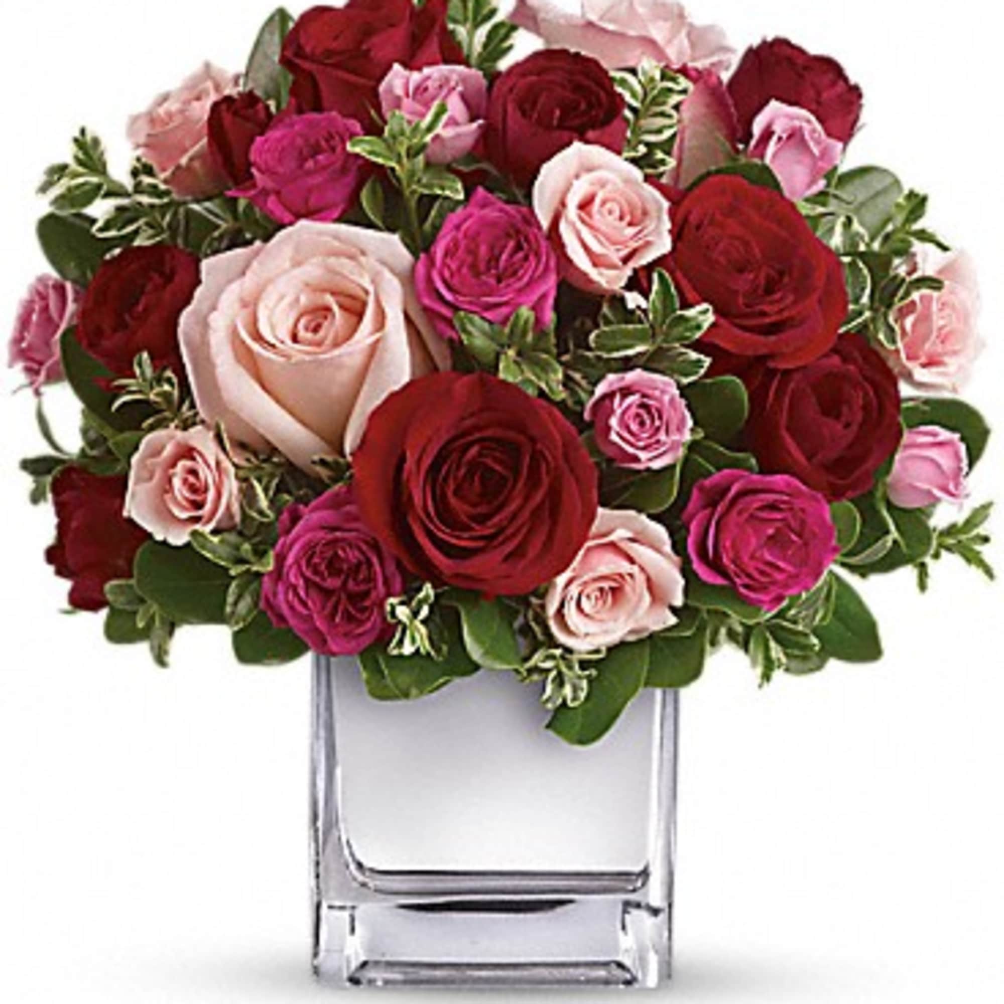 Sing her a love song - with flowers. This lush, loving rose