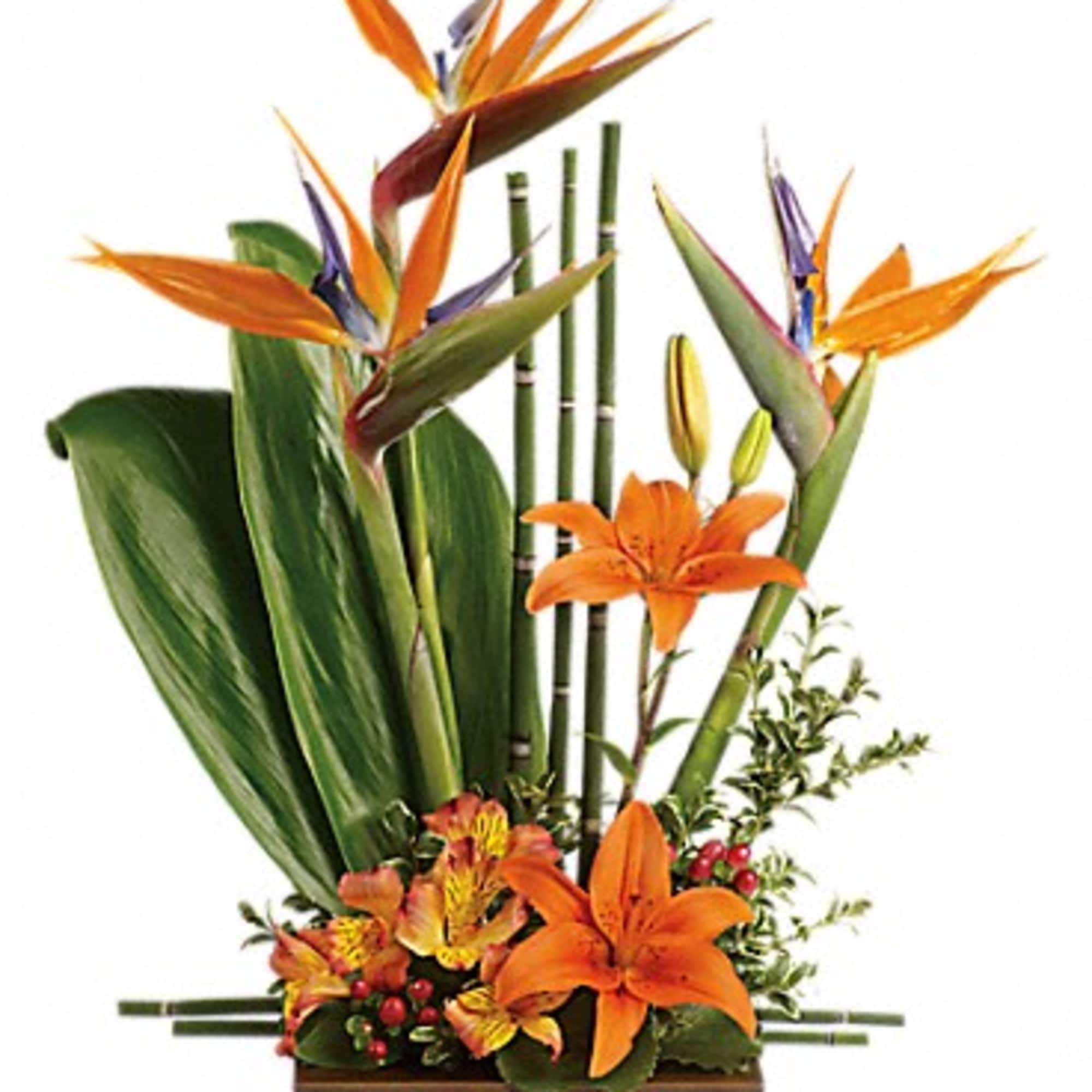 Looking for something with a bit of Zen? With tall bamboo and, photo 2 of 3