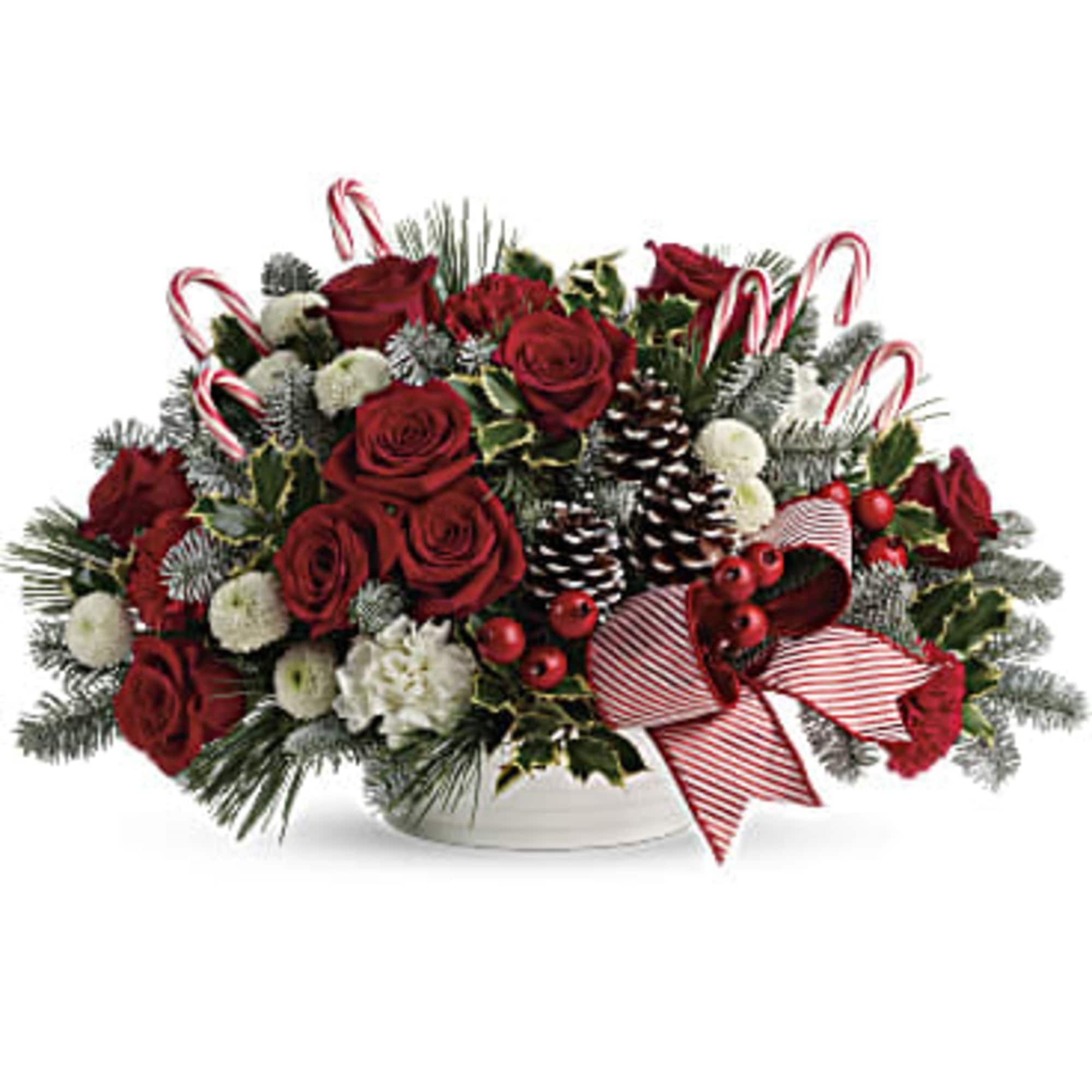 A Christmas classic, this chic white dish bursts with with festive blooms