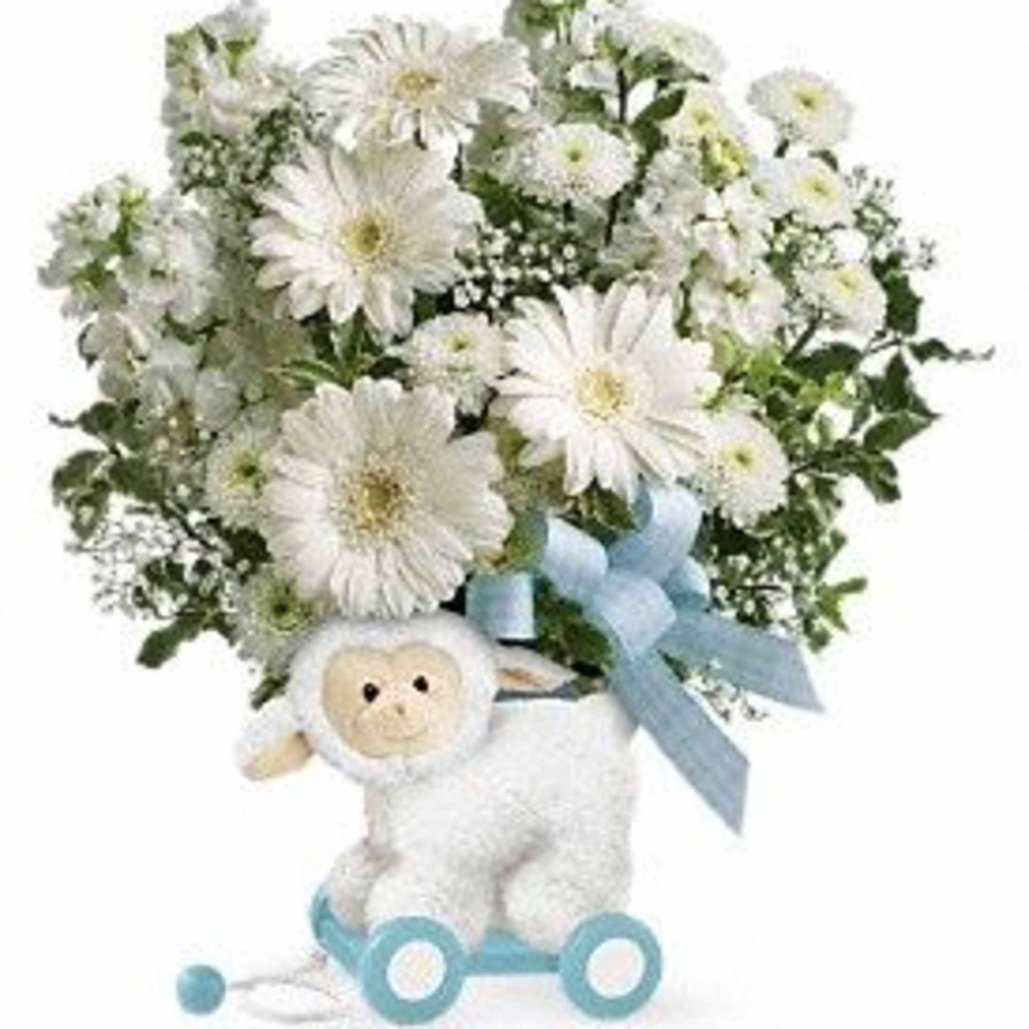 White daisy bouquet with a plush lamb and blue ribbon