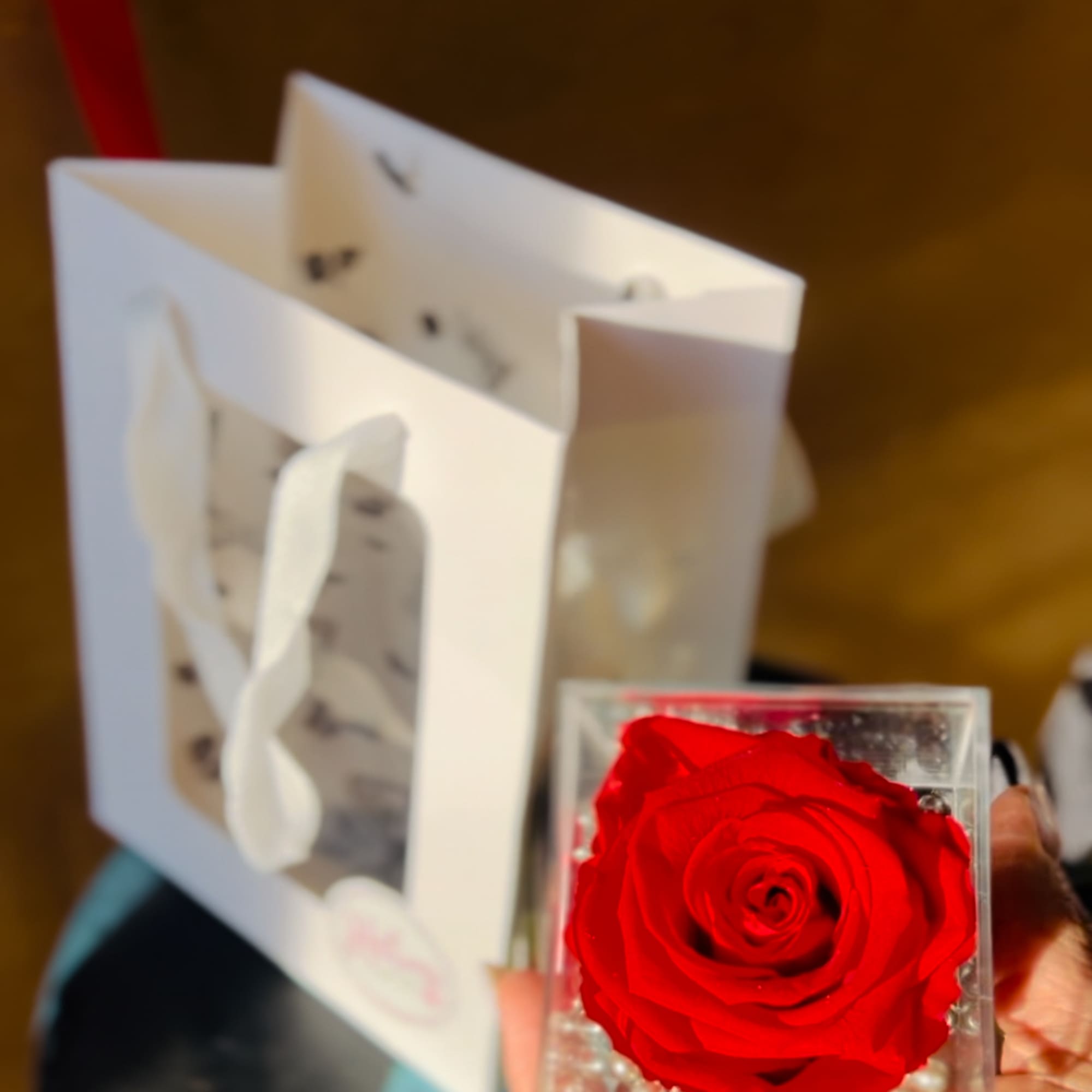 Single red rose in a clear square box with a gift bag behind it