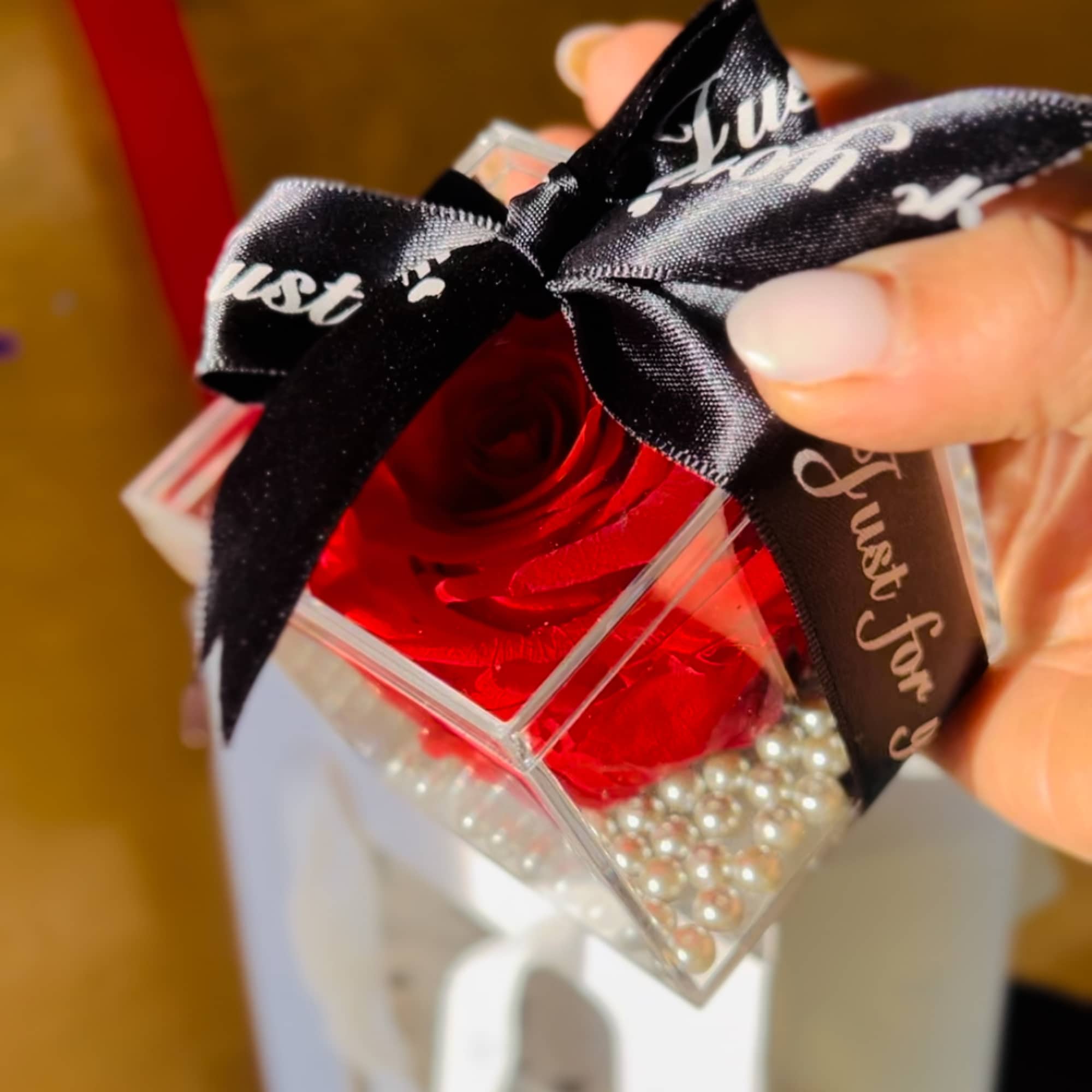 Red rose in a clear cube box with a black ribbon