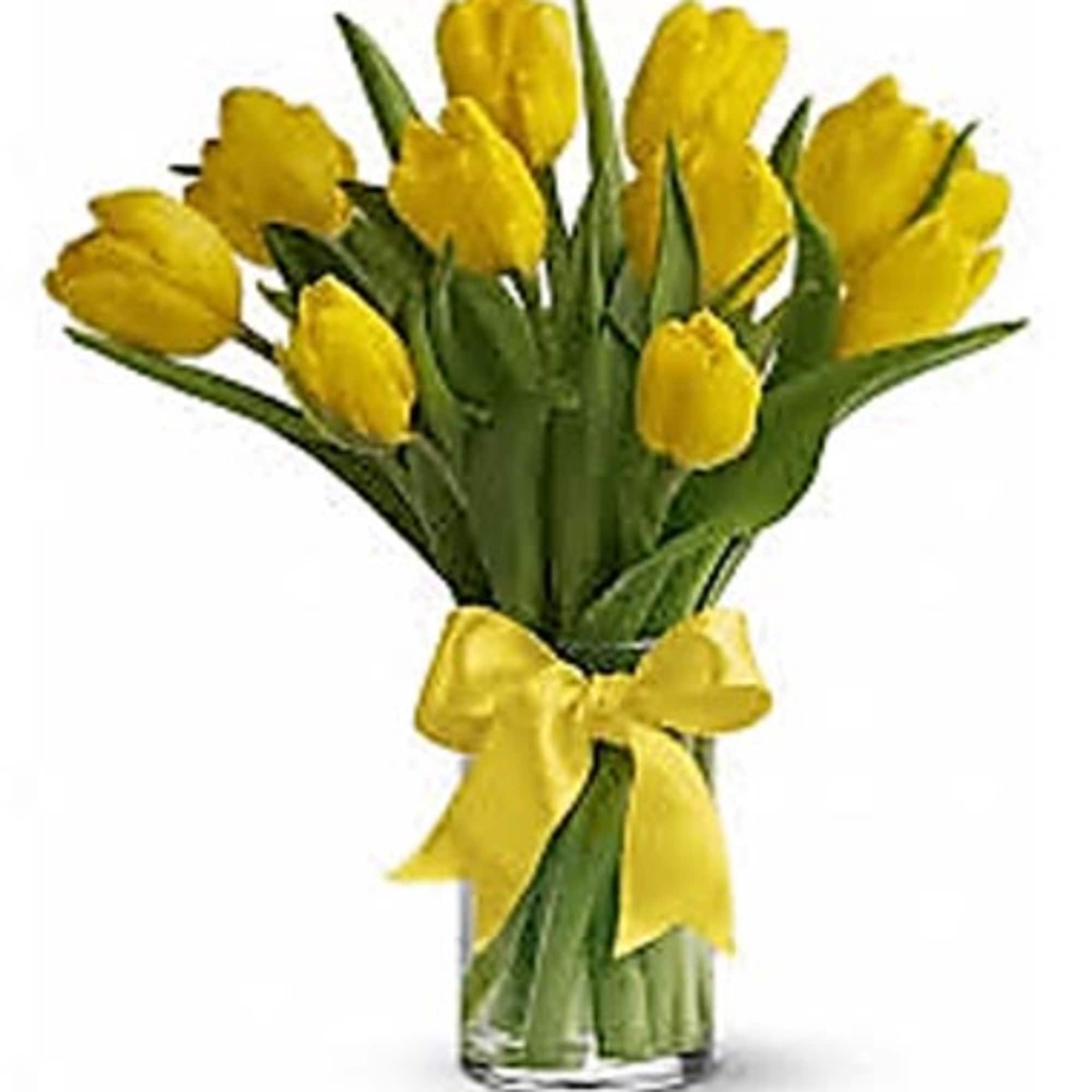 Vase of bright yellow tulips tied with a yellow bow