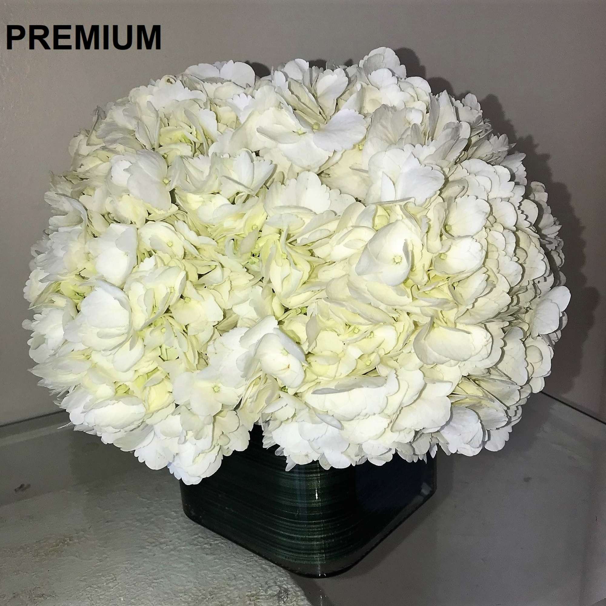 Compact arrangement of white hydrangeas in a low dark glass cube vase on a reflective surface