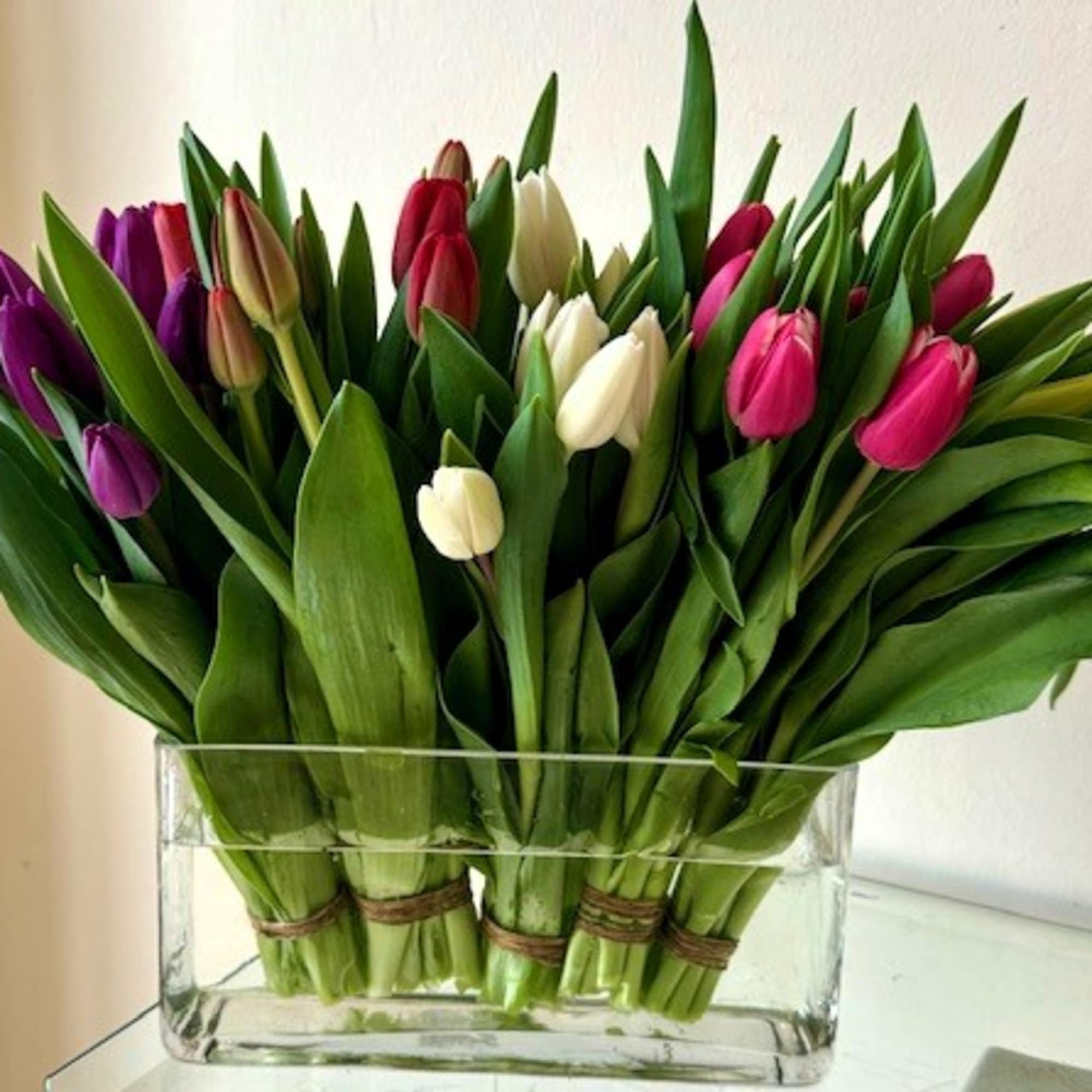 Standard: 30 assorted color color tulips arranged in a Specialty vase.
Deluxe: 40