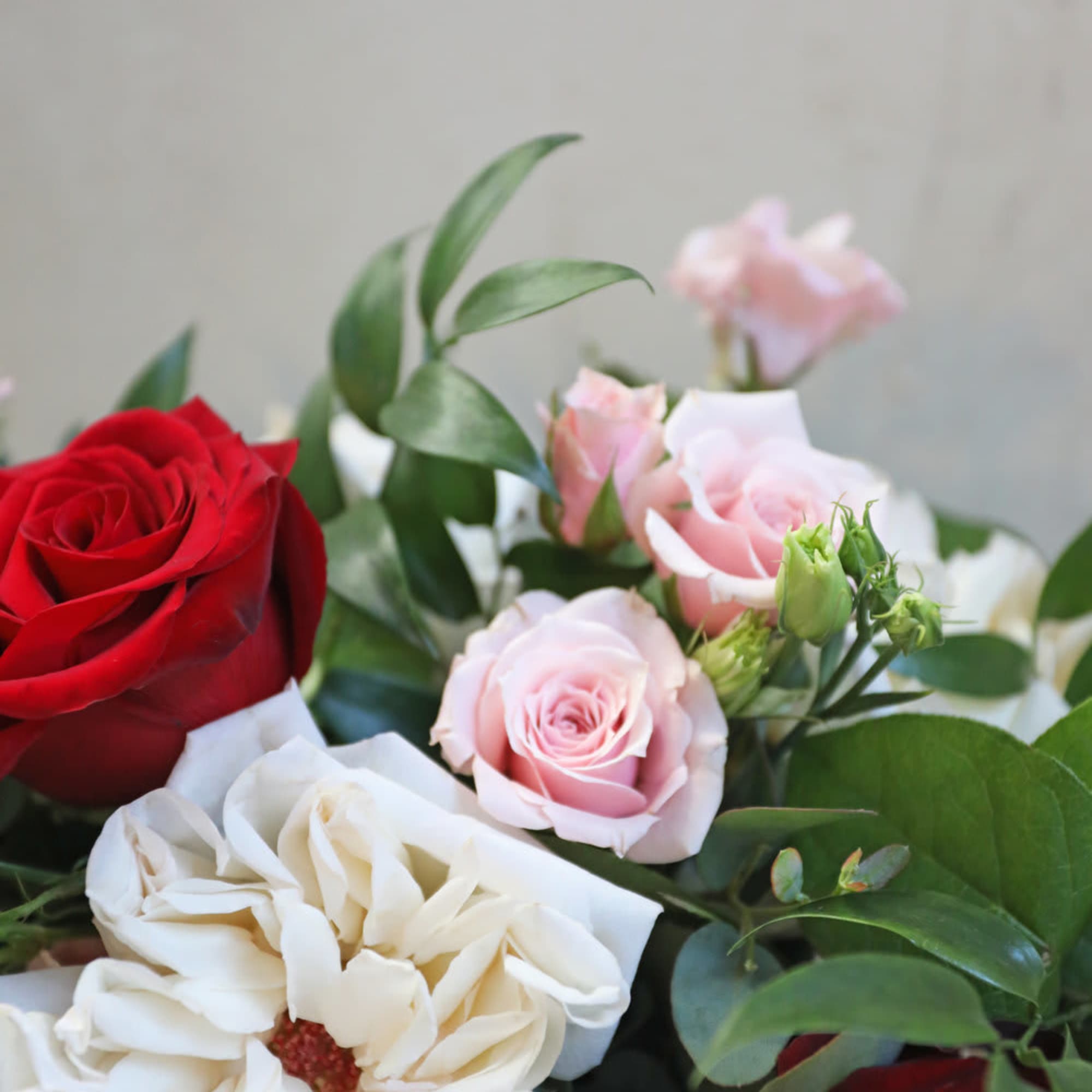 Bouquet of red, pink, and white roses with greenery